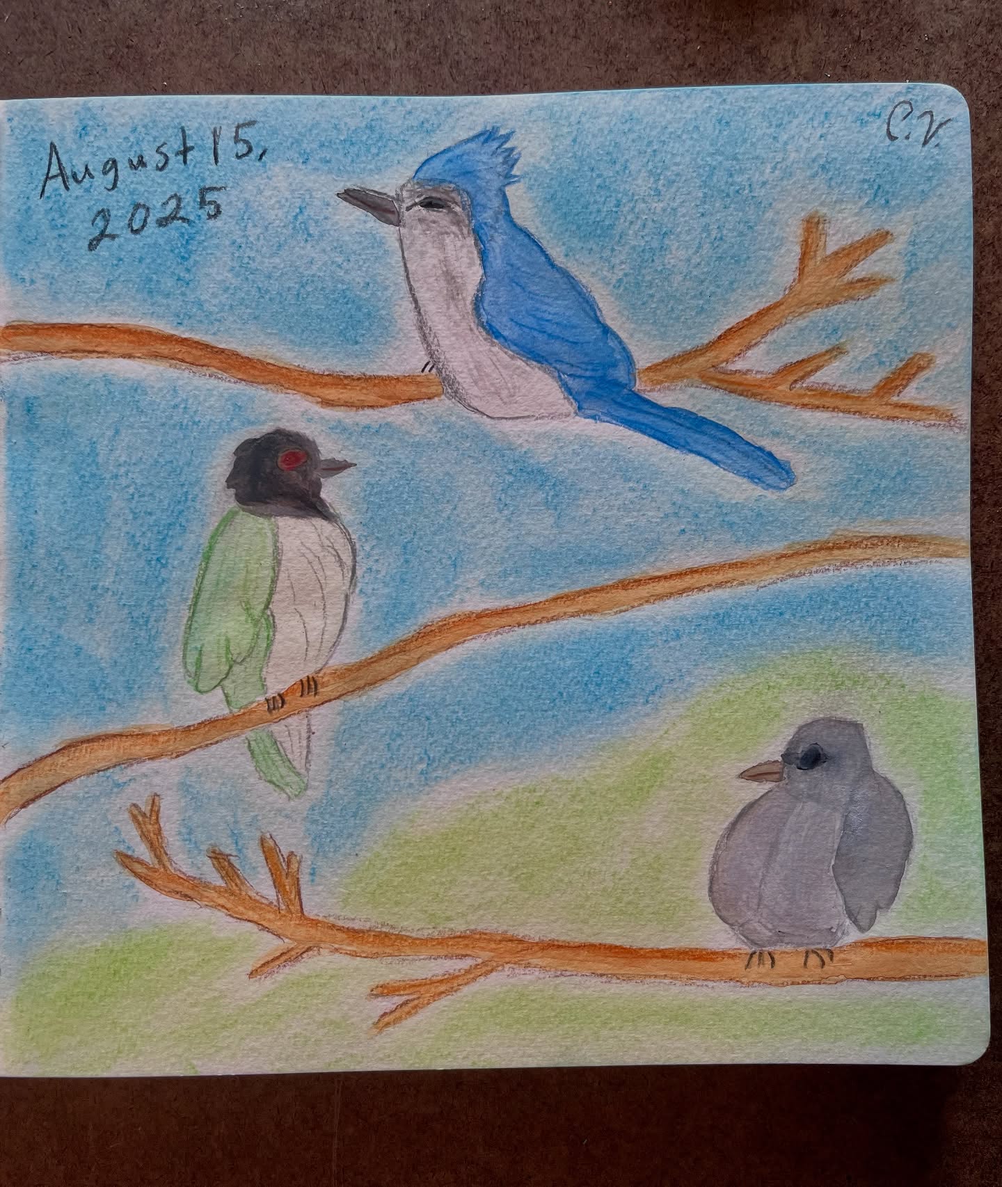 Thanks to @rebelunicorncrafts for her art book, Learn to Watercolor, for inspiring my latest sketchbook page. I changed my birds a bit from what she had. I went beyond using standard watercolor by using also pastel and watercolor pencils.
If you’ve been checking out my latest poetry books, you’ll know that I’ve been incorporating more artwork in between my poems. What do you think? Should I include this one into my next poetry book? Let’s just say birds flying a distance work well with my characters writing to each other.
#GreekLatina #IndieAuthor #IndiePoet #IndieArtist