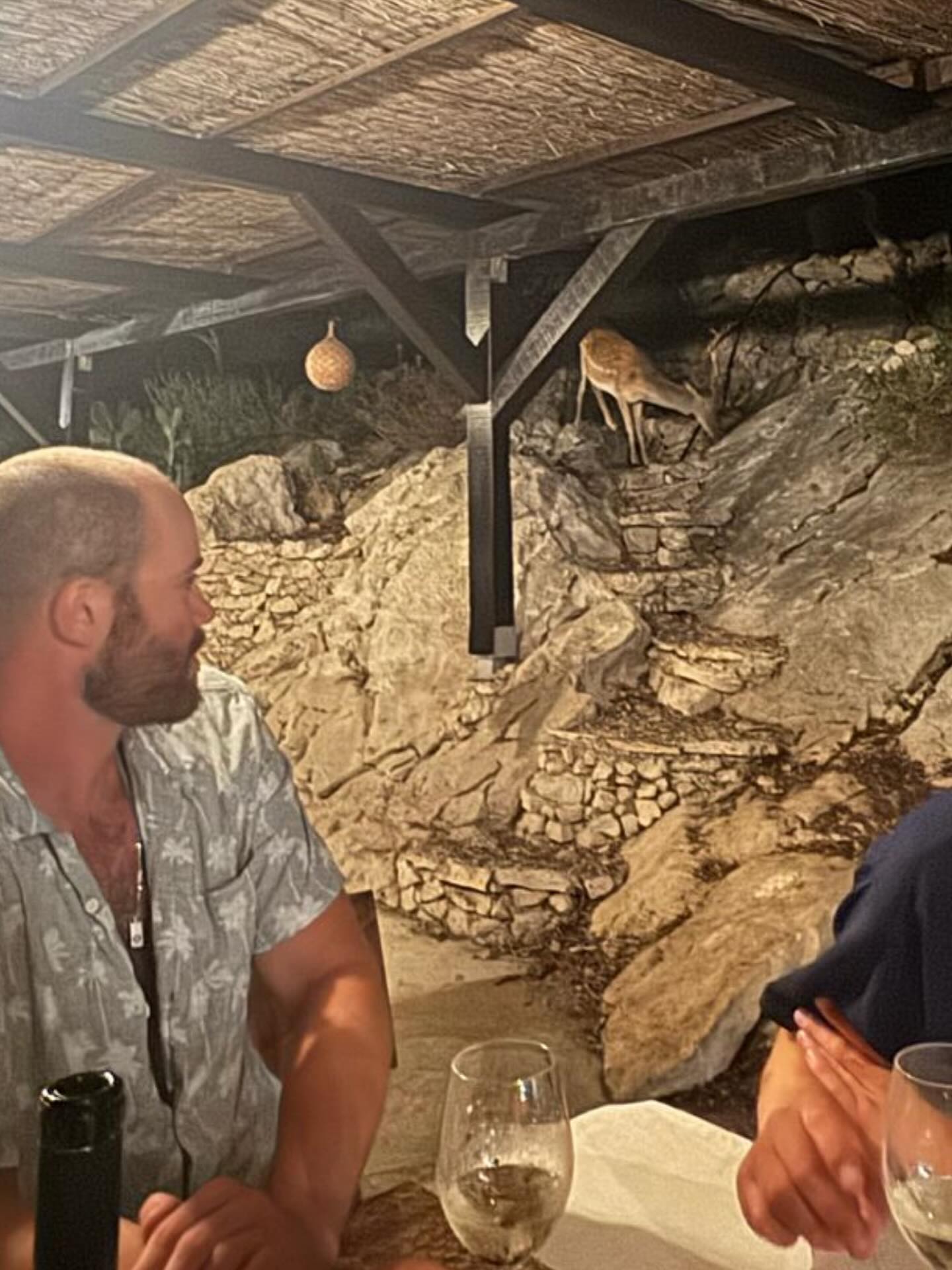 Enjoying an amazing dinner at @vela_garska when the Deer show up!