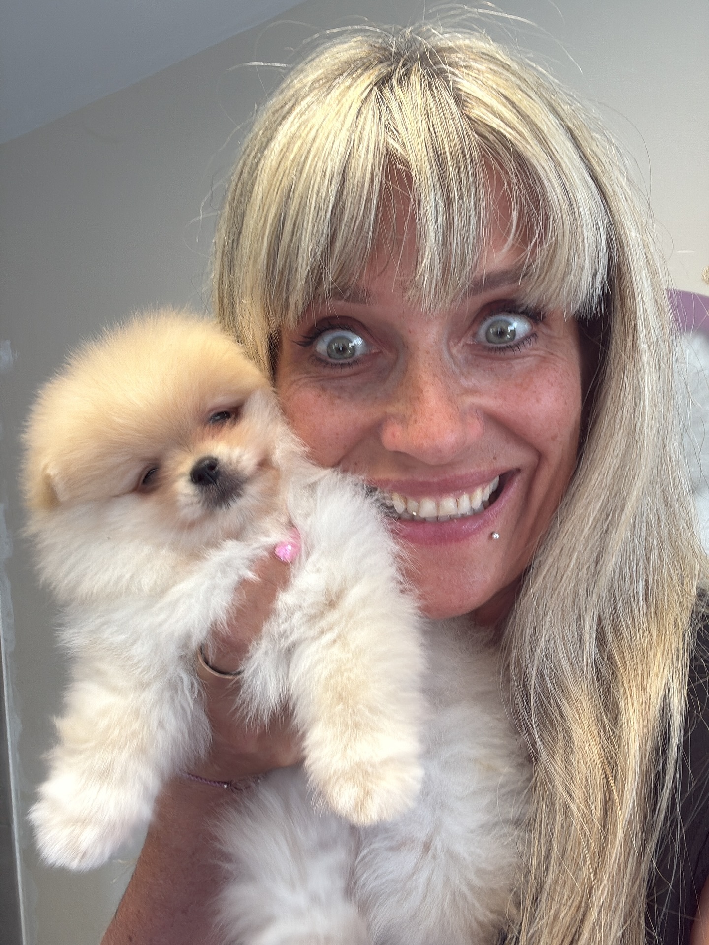 Kiki’s Angels You are amazing Djo-Djo ♥️♥️♥️ ging vandaag naar zijn forever gouden mandje bij mijn lieve vriendin @karinamacauter. Bedankt schat, ik weet dat hij het beste leven zal leiden bij jullie.