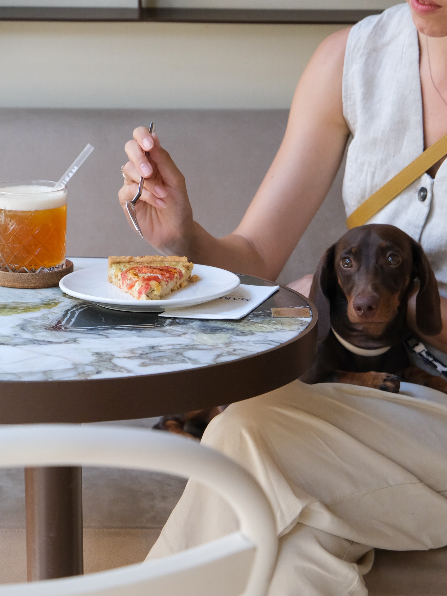 Yazın şehirde kalanlarla, şehrin tadını dükkânda çıkartıyoruz 🐶🥐