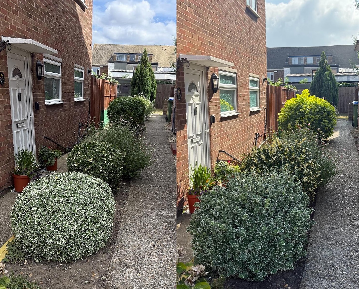 ✂️ Neat, tidy, and transformed ✂️
Sometimes it’s the small details that make the biggest difference — like a fresh hedge trim that instantly lifts the look of your home.
Whether it’s a quick tidy-up, regular maintenance, or a full garden overhaul, we’ve got you covered. 🌿
📍 Serving South East London – Catford, Bromley, Beckenham, Chislehurst & surrounding areas
💬 Message us today for your free garden quote
#SouthEastLondon #BromleyGardens #CatfordLife #Beckenham #Chislehurst #GardenCare #HedgeTrimming #GardenMaintenance #LondonGardening #GardenTransformation