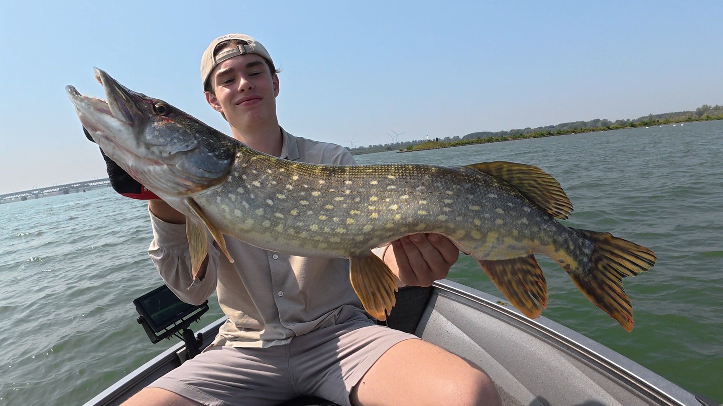 Jilles always catches the big ones! Well done.
#yamahaprofishing #lurefishingguide #batterylabs #proventocatch