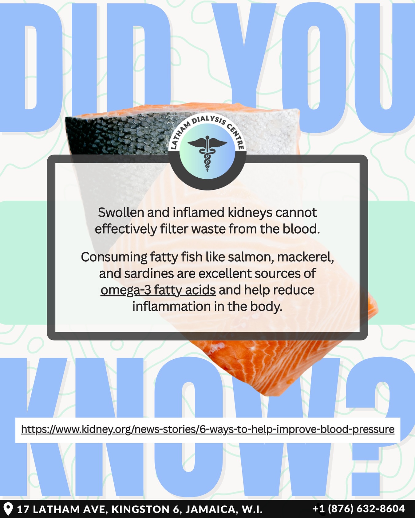Let’s help our kidneys out with our diet.
#LathamDialysis #LathamDialysisCentre #LathamDialysisJamaica #Jamaica #Kingston #KidneyDialysis #KidneyDialysisJamaica #KidneyDialysisinKingston #KidneyHealth #DialysisCenter #kidneydialysisinjamaica #KidneyDiseaseRisks #HighBloodPressure #DidYouKnow #Facts #FYP