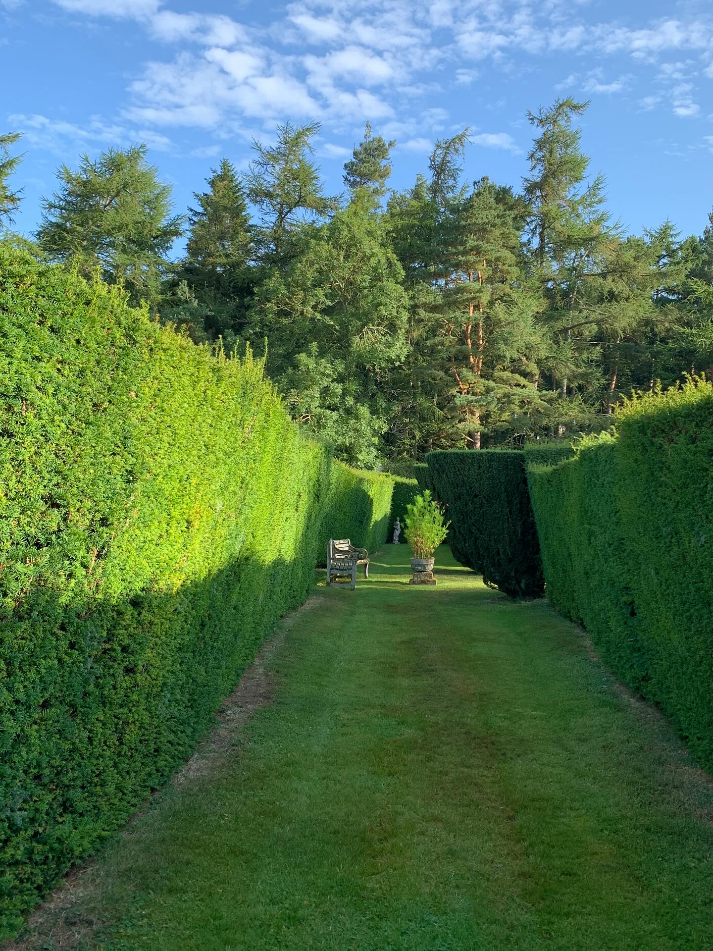 Green refuge. A little different from the usual, this one. A large double-hedge of yew divides the Walled Garden into three segments. We believe this to be an original feature and therefore approximately 200 years’ old. As well as being a vast dormitory for the local bird and insect populations, it is a simple, green space. Aside from an urn of cosmos, it’s just yew with a carpet of mown grass. In this overheated world, a place to reflect and recalibrate. A green refuge.
If you’re interested in finding out more about our garden in South-east Scotland, you might like to read our regular blog. You can find the link in our profile bio or visit www.thescottishcountrygarden.com. Check out our latest post ‘Agapanthus and apples’.
#gardenblog #garden #thescottishcountrygarden #scottishcountrygarden #gardenbloguk #scottishgardenblog #headgardenersblog #countrygardenblog
#gardenblogger #summergarden#scottishgarden #scottishgardener #gardenjournal #scottishgardenjournal #gardendiary #gardenersdiary #oldgarden #walledgarden #oldfashionedgarden #walledgardenblog #gardeninscotland #thegardeninaugust #augustgarden
#gardenwriter #ukgarden #gardensofScotland #gardensofgreatbritain