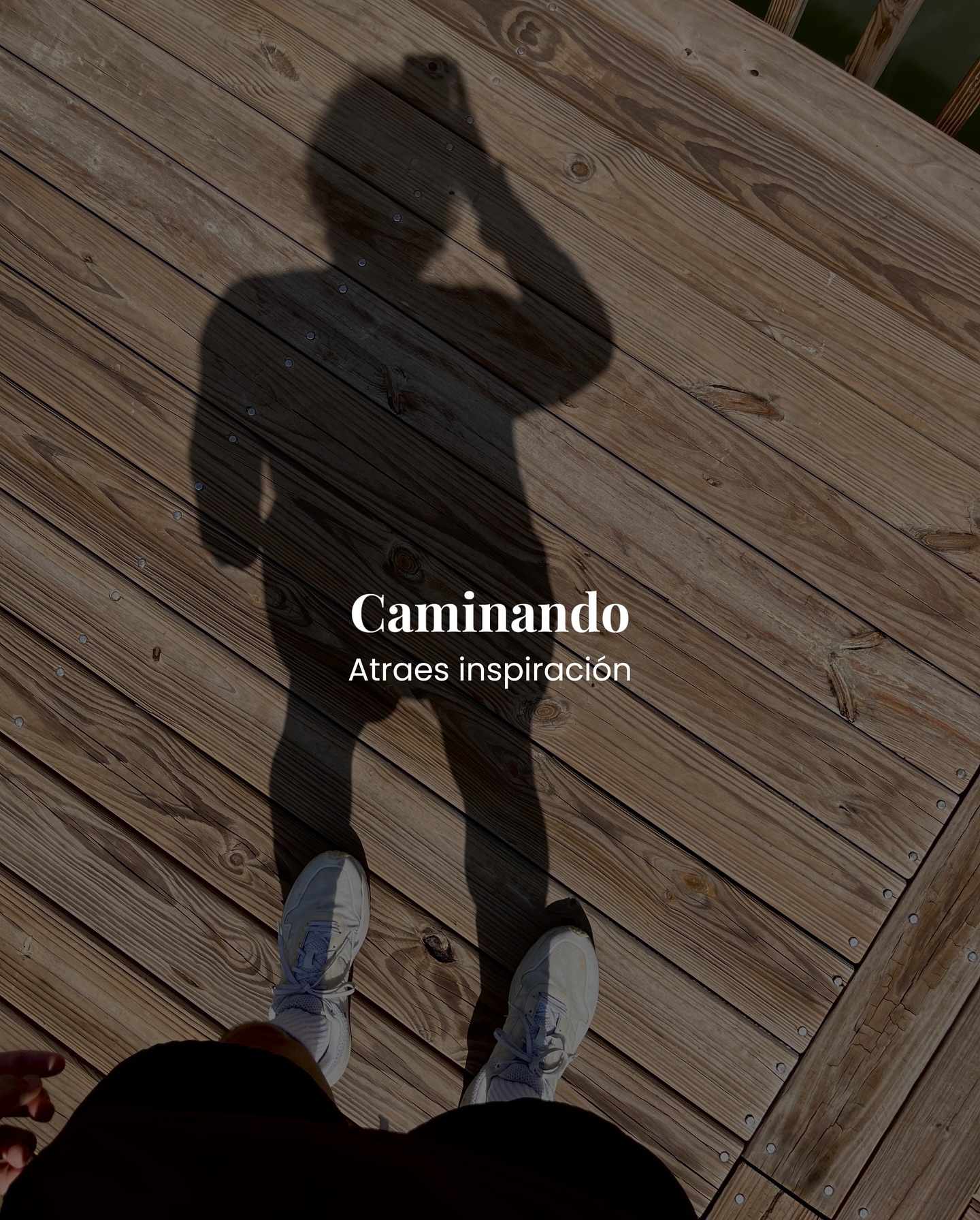 Las palabras inspiran, pero las acciones generan transformación⚡️
#fitness #habitos