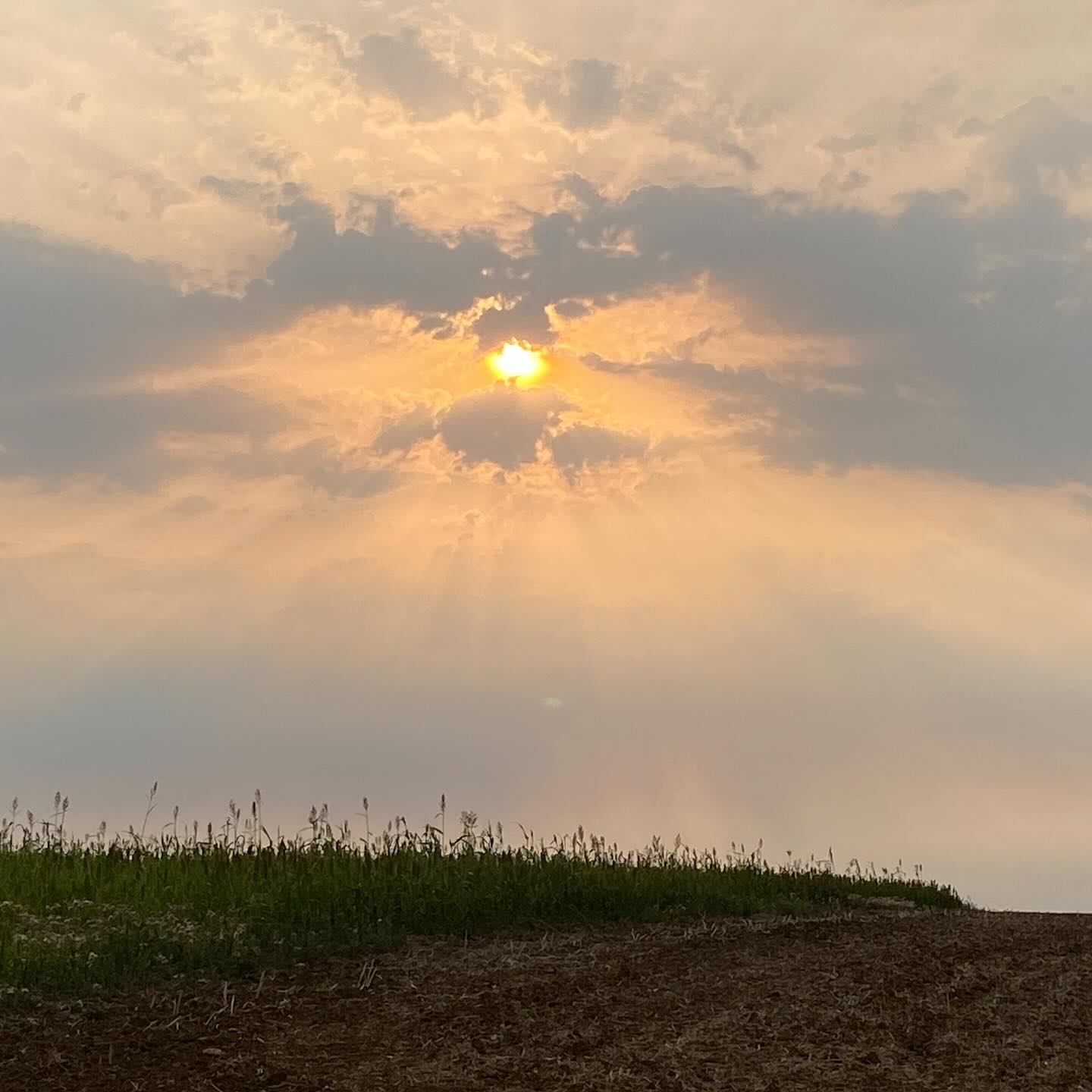 ✨ Et puis un jour tu t’en fou parce que tu as tout simplement décidé d’être ta priorité. Signé ton guide 😉😘 #croireensoi #citationsdujour #citationspositives #energie #energiecreatrice #ame #joie