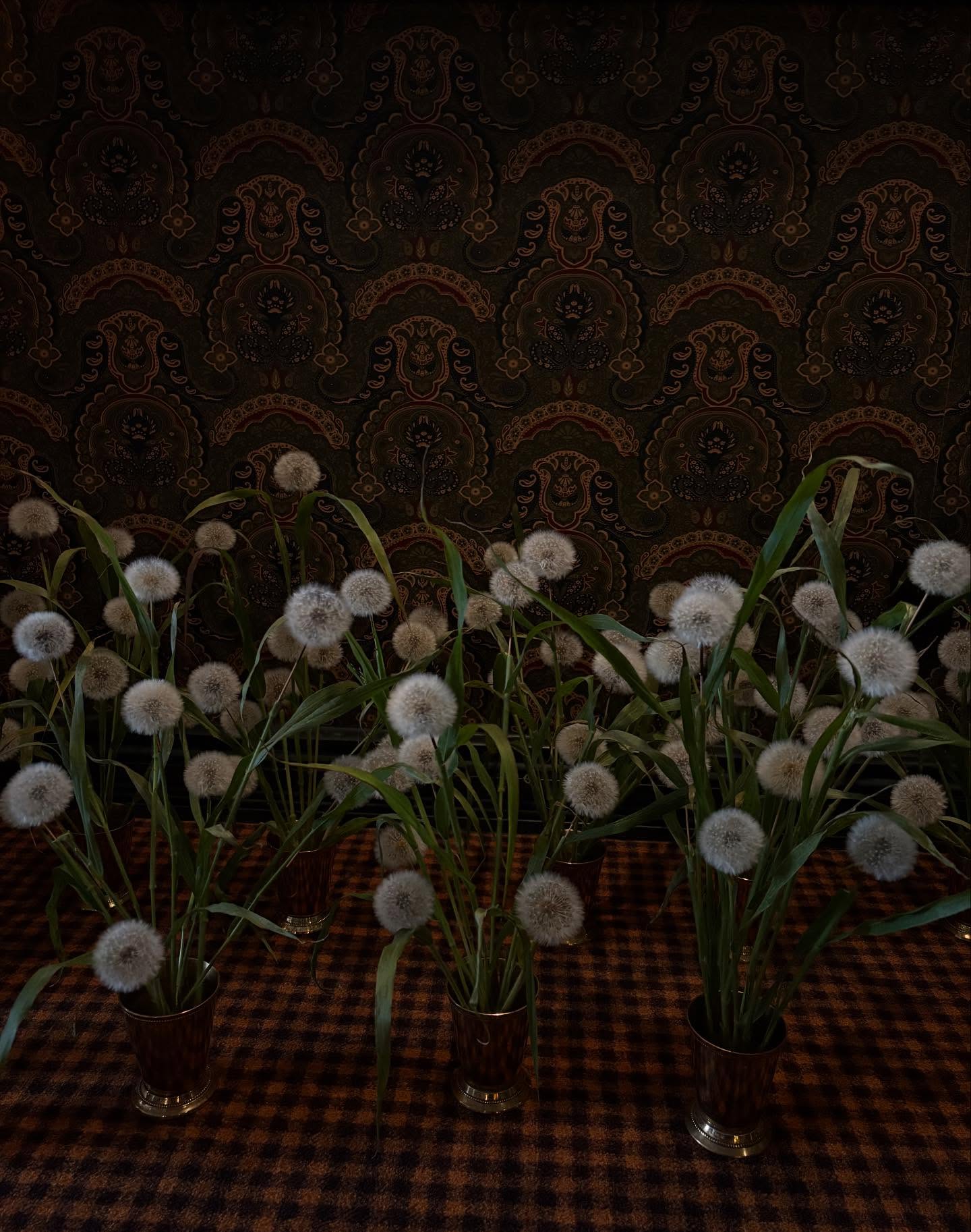 Recap from freelancing for @sarah_winward in Aspen CO. @ashley_killen killed it with the dandelions, @samarafloral and @ashley_killen foraged at nightfall, @george_heimink and I fixed the refer truck by learning how to replace a fuse, everyone obsessed with the rainbow smoke bush, and the best views anyone could ask for. Thank you Sarah for giving us the opportunity to travel to incredible places and be with our people doing what we love.