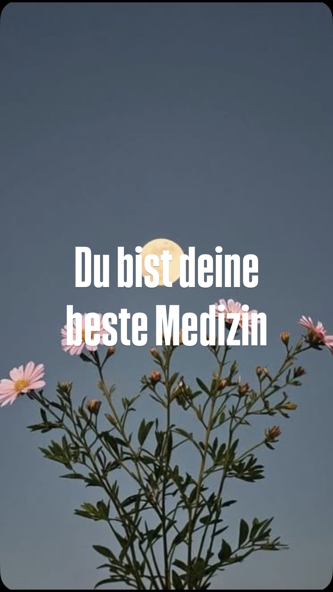 Es geht nicht ums Tool, nicht um die Übung, nicht die Technik, nicht die Routine, nicht die Wiederholung, nicht die Intensität, nicht ums perfekte Ausführen.
Sondern auf dein Einlassen. Wie sehr du dich wirklich in dich hinein sinken lassen kannst.
Wie oft machst du Dinge, nicht um etwas weghaben zu wollen und zu einem bestimmtem Zweck, sondern einfach nur um mit dir zu Sein? Dich selbst zu fühlen und zu spüren? Nicht weils im Trend ist, nicht weils vielleicht gut ist, nicht weils dich voran bringt.
Sondern Bedingungslos. Erwartungslos. Frei.
Ja, es bringt dich voran. Ja, es ist gut für dich. Allen voran dann, wenn du deine Erwartungen, den Druck, deinen Anspruch „diesmal muss es klappen, es wird alles besser, wenn ich mich nur mehr dabei anstrenge“ dabei runter schraubst.
Denn: Deine Energie folgt der Aufmerksamkeit. Auf der Jagd hinter deinem heiligen Gral von Heilung und endlich Ankommen bleibst du vor allem eins: auf der Jagd deines Optimierungsmarathon ohne Halt und ohne das Ziel erreichen zu können. Wie in so einer Schleife 🔁
Du hast schon genug gehustled. Dich genug angestrengt. Bleibe erstmal stehen. Mach Pause von der „Pause“.
Lass uns mehr weniger tun 🧘🏻♀️
Weniger Tools. Weniger Routine. Weniger Intensität. Mehr Echtheit, mehr Innehalten, mehr Sein.
Und all das, was du dir davon wünschst, folgt von alleine. Nur ohne wünschen. Ohne Widerstand, ohne Kampf.
Sondern von innen geführt ✨
Und genau dafür hab ich meine 1:1 Räume kreiert 🧚🏻um dir genau den wertfreien Raum zu halten genau das in dir zu erforschen und dich in deiner Essenz zu verkörpern 🧬 sanft. Ohne Druck & Anspruch. Für dein Sein.
Kommentiere mit YES und ich schick dir direkt alle Infos zu meinem neuem 1:1 Bundle 💌
all the love, deine Eva
EMBODIMENT
BODY WORK
BEWUSSTSEIN
EMPOWERMENT
FEEL IT TO HEAL IT