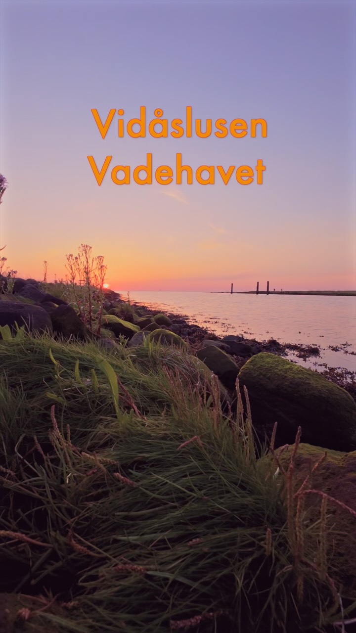 Vadehavet 🫶
-
-
-
#coastallandscape #tandrup_photography #sunsetview #vadehavskysten #dmi #wildnature #naturephotography #micheltandrup #nordiclandscape #tv2vejret #seascape_lovers #denmarknature #danmarksnatur #oceanmood #total_denmark #nationalparkvadehavet #nordsee #landscape_captures #naturområder #nature_seekers #coastalsunset #oceanview #nordicphotography #naturbilleder