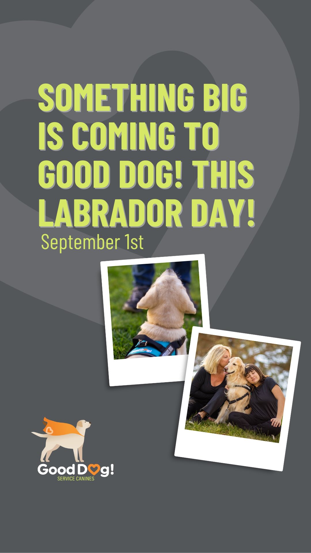Good Dog! has BIG news coming this Labrador Day (Sept 1) �
We’re breaking down barriers and creating more opportunities for the people who need a service dog most.
� Mark your calendars — change is coming.
#gooddogservicecanines #comingsoon #ComingSoon #servicedogs #servicedogsupport #servicedogsofinsta #servicedogsofinstagram #servicedogsofinstagram #LabradorDay #labradorday