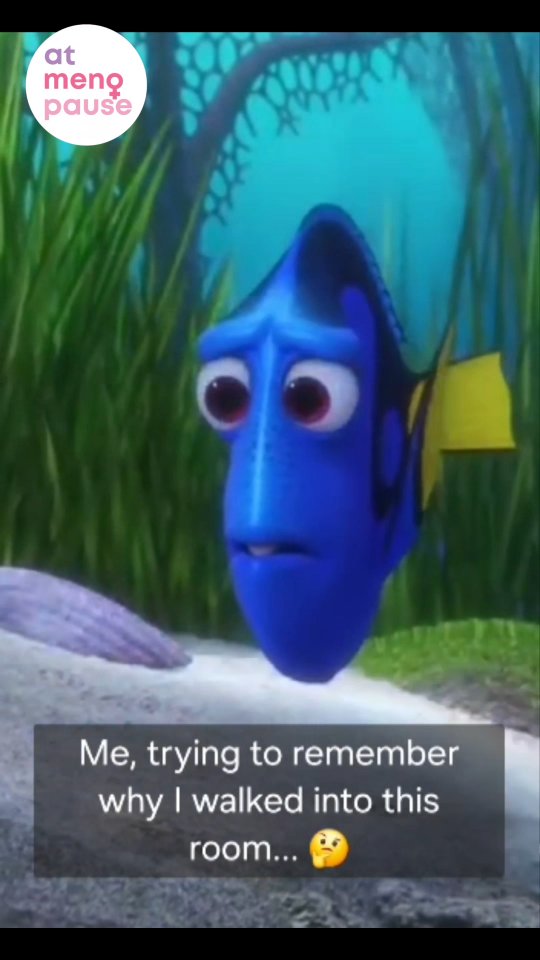 DORY said 🐠 “I suffer from short-term memory loss… at least I think I do?”
But you are not DORY and you don't suffer from memory loss.
Perimenopause and Menopause cause symptoms similar to short-term memory loss. That’s Brain fog.
Brain fog is one of the most overlooked (and frustrating) symptoms of menopause.
-Forgetting names,
-Losing your train of thought mid-sentence, -Walking into a room and asking yourself "Why am I here?"
It's all part of the hormonal shift, and no, you’re not losing your mind.
✨ It’s time we normalise talking about this.
These aren’t “just in your head” —
They’re real, common, and hormone-driven symptoms.
✨ The good news?
You’re not alone —
And there are ways to feel better.
Or you could "Just keep swimming, Just keep swimming"
💬 Drop a 🧠 in the comments if you've been there — let’s build a community that remembers
"We’re in this together" ❤️
🔗 Tap the link in bio to read our latest guide and tips to deal with any disturbing symptoms of Menopause.
Or
Visit our website @atmenopause.com for more such educational content.
Or
Tag someone who walked into a room and forgot why!
🌿 From lifestyle shifts to mood-supporting supplements,
Small changes can make a big difference.
✨ Natural, effective, and backed by tradition
🧠 Support your brain health in a gentle way
🎙️ Contributed by @doctabu
🌿 Powered by @fitaminat
#moviemonday #MenopauseSupport #MentalHealthMatters #atmenopause #DoctabuSays #menopausedubai #Menopauseadvocate #LetsAllTalkMenopause #PerimenopauseAwareness #HormoneHealth #atmenopausepodcast #MenopauseBrainFog #PerimenopauseSupport #JustKeepSwimming #MidlifeMagic #MenopauseAwareness #findingdory