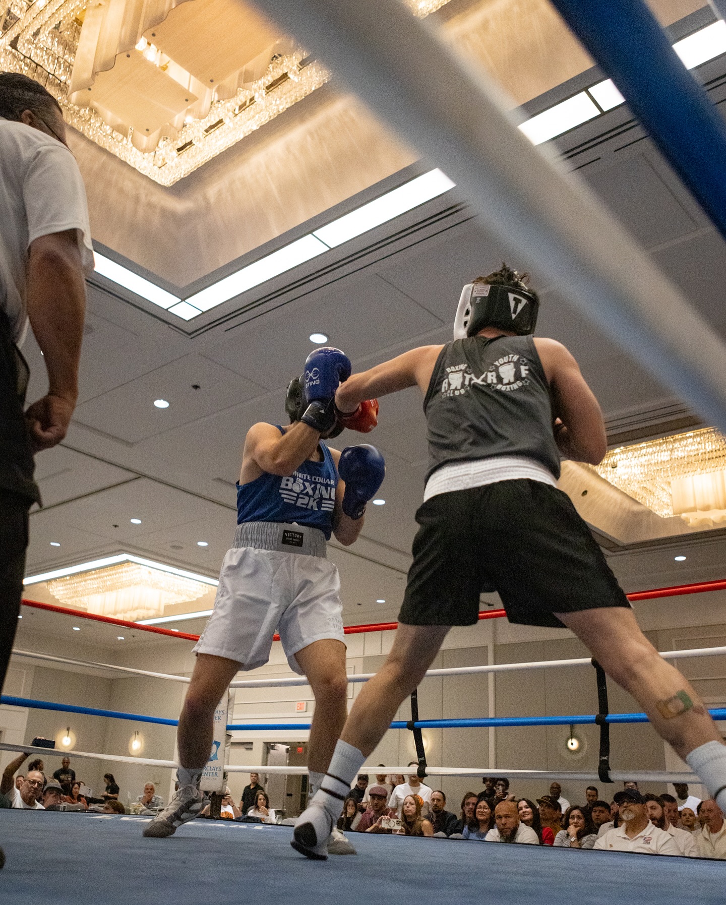 🥊 3 MONTHS OUT! 🥊
White Collar Boxing 2K25 is coming fast—November 14th at the Hyatt Regency Greenwich.
✨ Sponsorship opportunities are open
✨ Fighter registrations are LIVE
✨ And so many ways to get involved
Don’t wait—this is YOUR chance to be part of the biggest night of the year!
👉 Click the link in bio or contact us for more info.
#WCB2K25 #WhiteCollarBoxing #RFYouthBoxing #GreenwichEvents #FightForACause