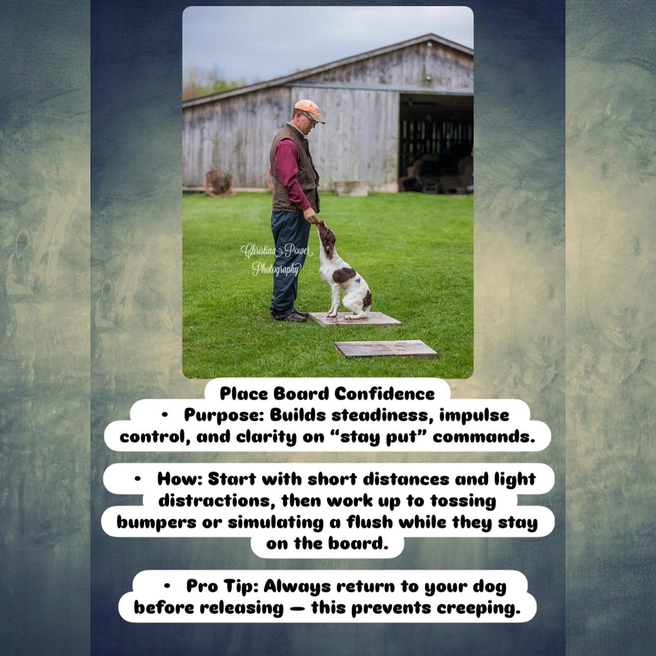 Place Board Confidence…
Save this post so you can try this drill this weekend — and tag us when your dog nails it!