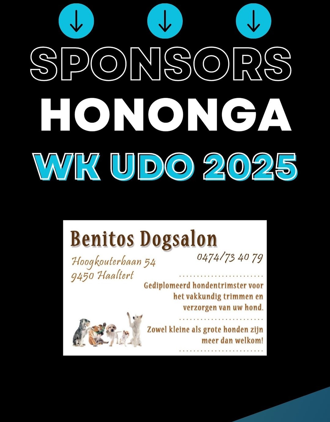 🚨Sponsor Alert 🚨
BENITOS DOGSALON
Bedankt voor de steun aan ons WK-avontuur!