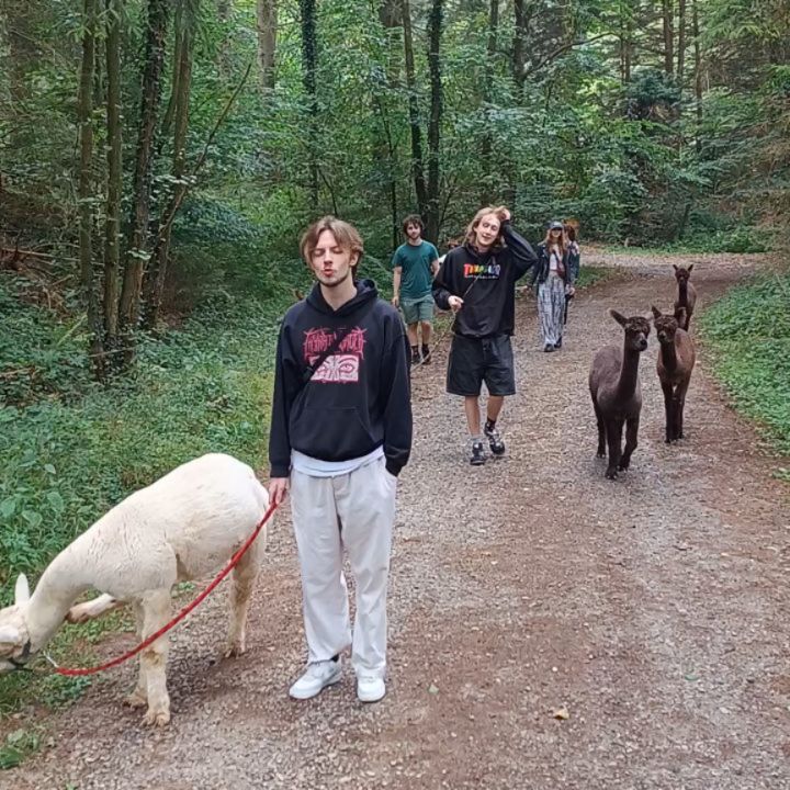Auf geht's! Was für eine herrliche Wanderung durch den schönen Wald 😄!
#obstwiesenalpakas #wandernmalanders #alpaka #alpaca #alpacahike #alpakawanderung #wald #waldwanderung #aufgehts #alpakasofinstagram #badmünstereifel #bonn #köln #cologne #euskirchen #ahrtal #sommerferien☀️ #höhengebietbadmünstereifel #långsam