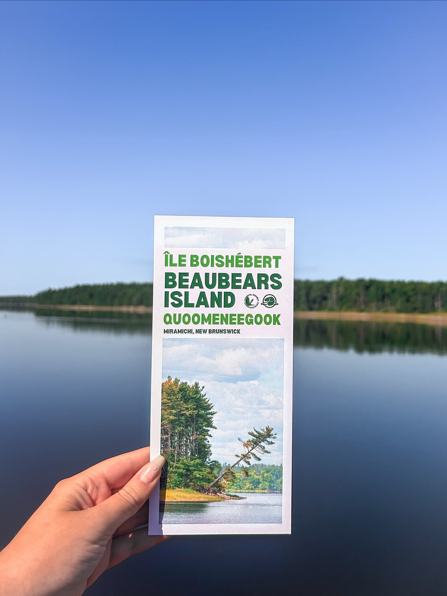 🌊 Ever wondered what secrets Beaubears Island holds from the water? Until the island itself reopens, we’re setting off on 40-minute guided boat tours along its storied shoreline! Journey up and down the length of the island, hear its tales, and see it from a whole new perspective, all with one of our awesome tour guides!🌲
Tickets are just $25 per person (student and senior discounts applicable) and are available on demand at our interpretive centre 7 days a week, weather permitting! Climb aboard and let the adventure begin! 🚤
