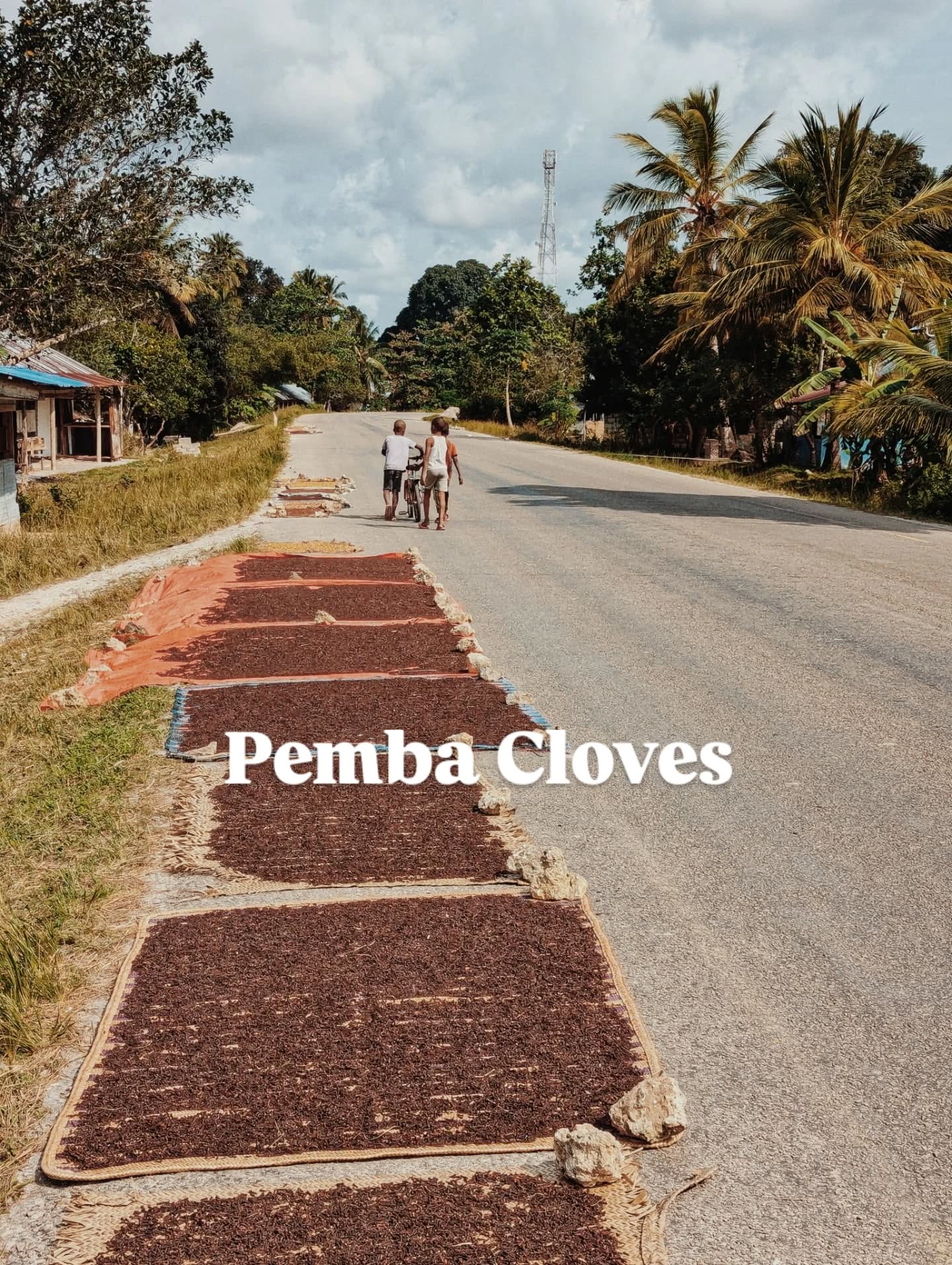 We had the pleasure of visiting Pemba for the first time last week - Pemba is the lesser known and lesser visited Northern island of the Zanzibar Archipelago 🌴
It is where a large portion of Zanzibars spices are grown, and in fact it is where our Cloves and Vanilla come from! Even better, we arrived in peak Clove season where the local small holding farmers will dry their cloves at the roadside. ☀️
The smell is indescribable - the air really is filled with the scent of freshly drying cloves, and you can sense the spices well before you see them! 🌿
To top it off, we had the pleasure of visiting @fundu_lagoon and @afrodivers who we are pleased to announce will be stocking our products! 🥃🍹
We would reccomend anyone going to Zanzibar to look at doing at least a few days in Pemba if they really want to get away from the hustle and bustle 🧘🏽
We think we need to work on a Pemba edition of the rum, you heard it hear first!
#tasteofthespiceislands #pemba #spiceisland #spices #rum #gin #spicedrum