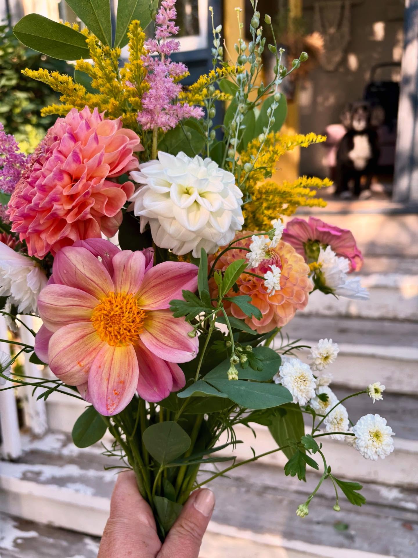 That dahlia up front, we grew that from seed which means it’s one of a kind 😍 Starting some dahlias from seed this year has made it such a fun surprise to walk through the garden!
More bouquets up on our website because our gardens are bursting🌸
