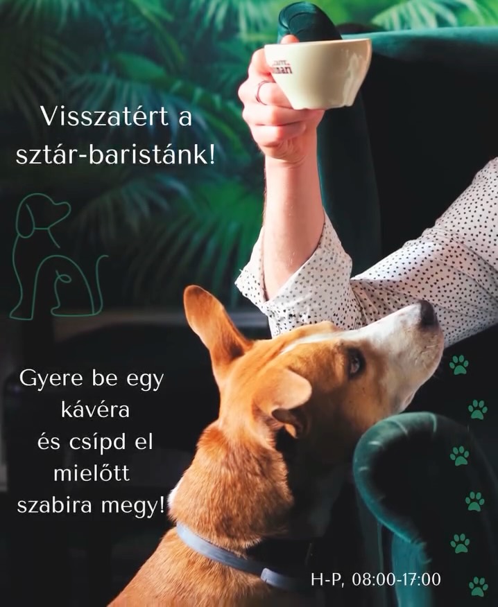 Dió is on board again! 🐾