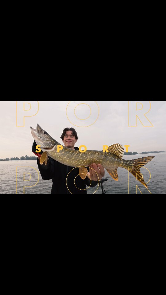 River pike #lurefishingguide. Join us for a ride 😎
#yamahaprofishing #batterylabs #ufxfishing #hollandsdiep #stcroixrods #spro #proventocatch #shimanoreels