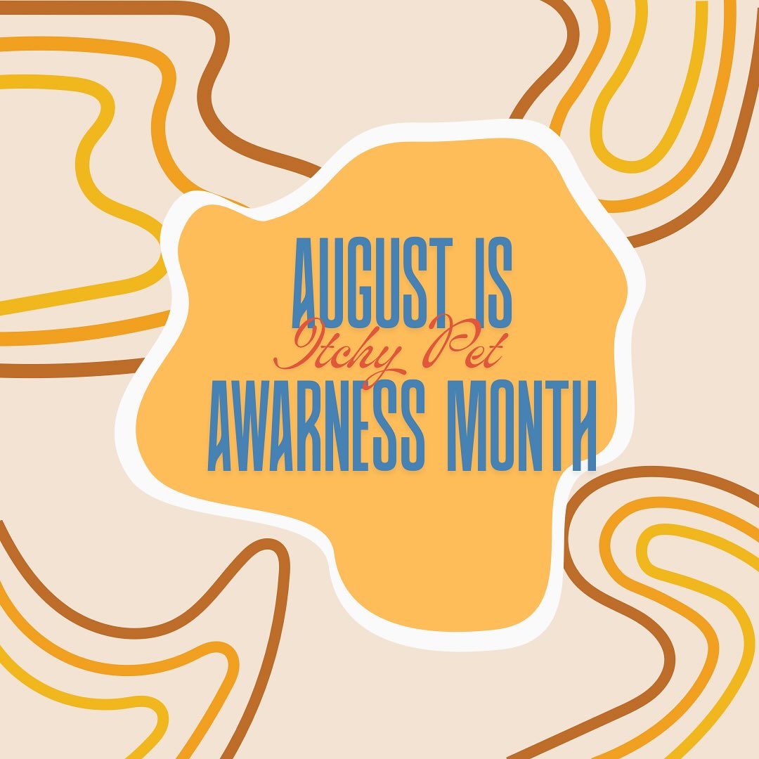 August is Itchy Pet Awareness Month
If it itches DONT scratch it! Call your vet!🙂↕️