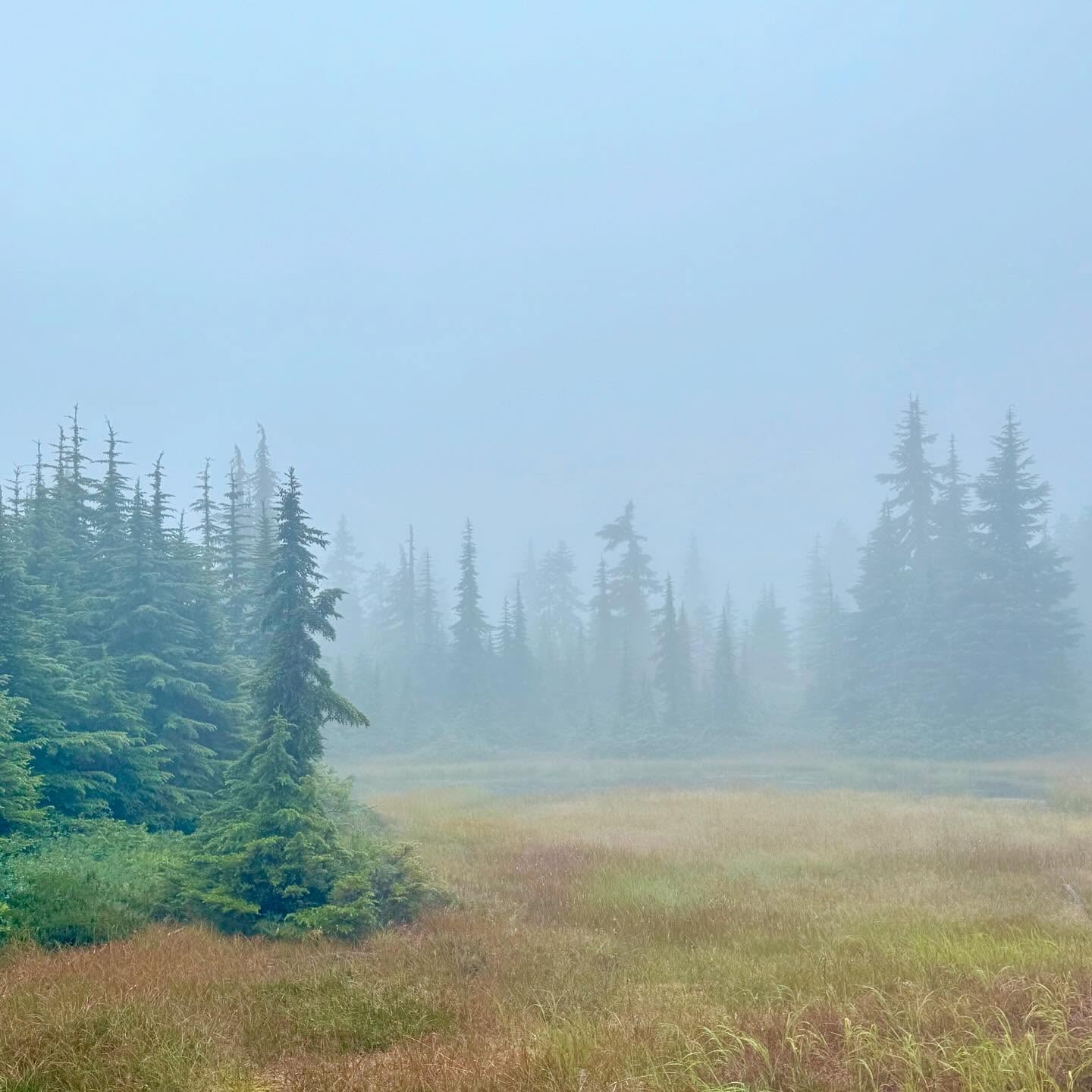 Unless someone has a better idea, I’m calling this Foggy Bear Lake