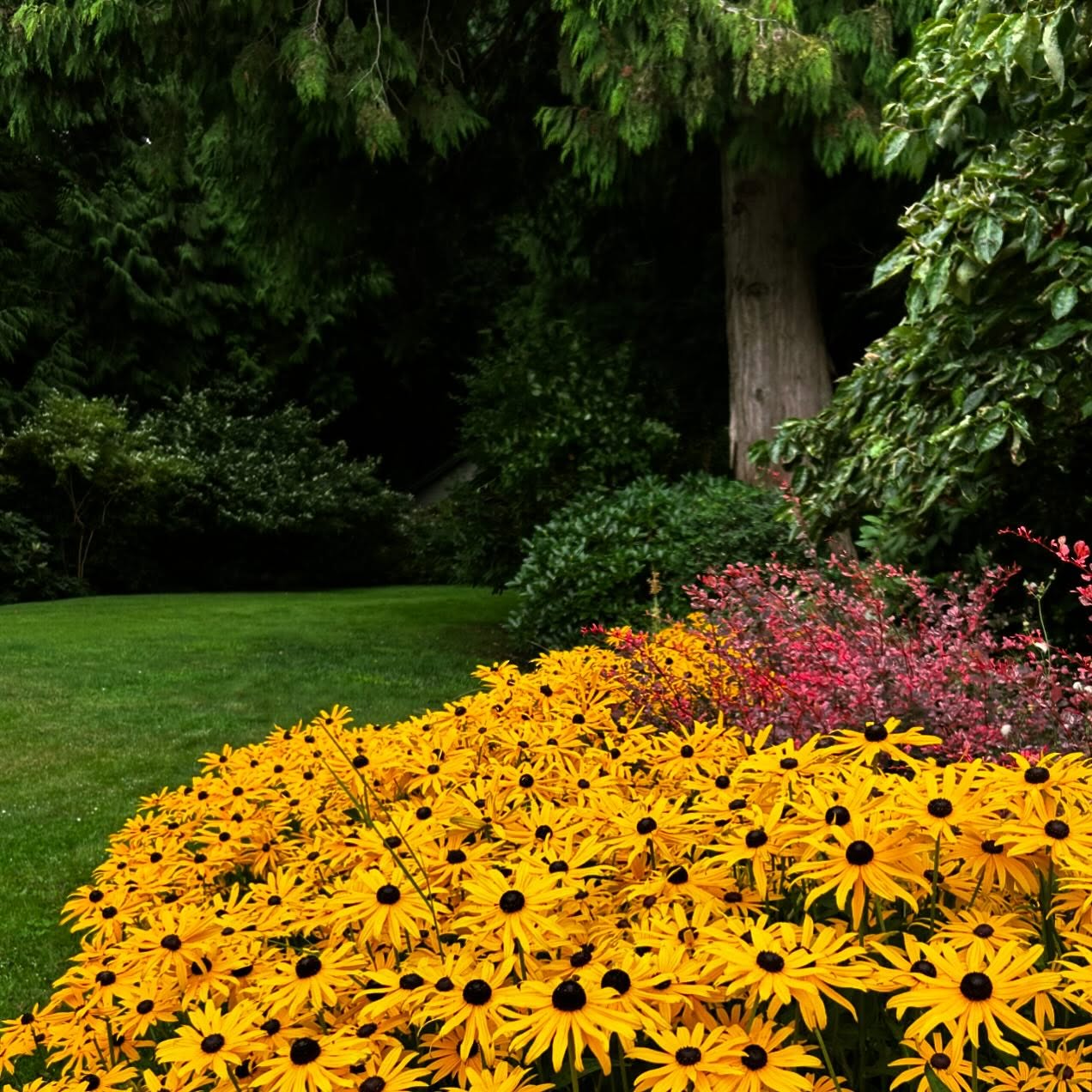 Hours and hours of making things beautiful — imagine what that does to a person . . .