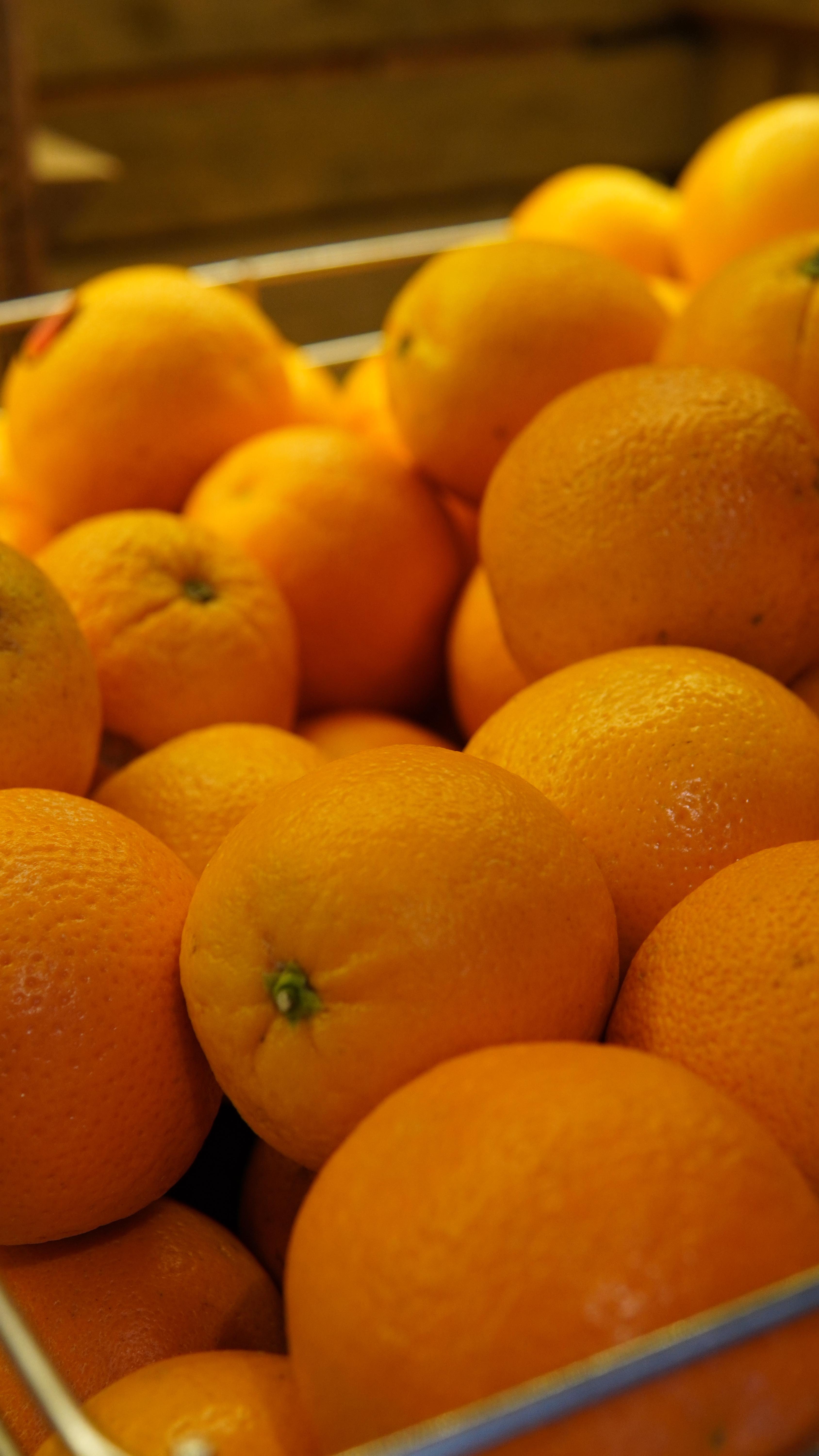 Ce week-end à Giverny ☀️
#giverny #normandie #givernyfrance #normandietourisme #eure #givernymonet #normandiemylove #givernygarden #givernygardens #coffeeshop