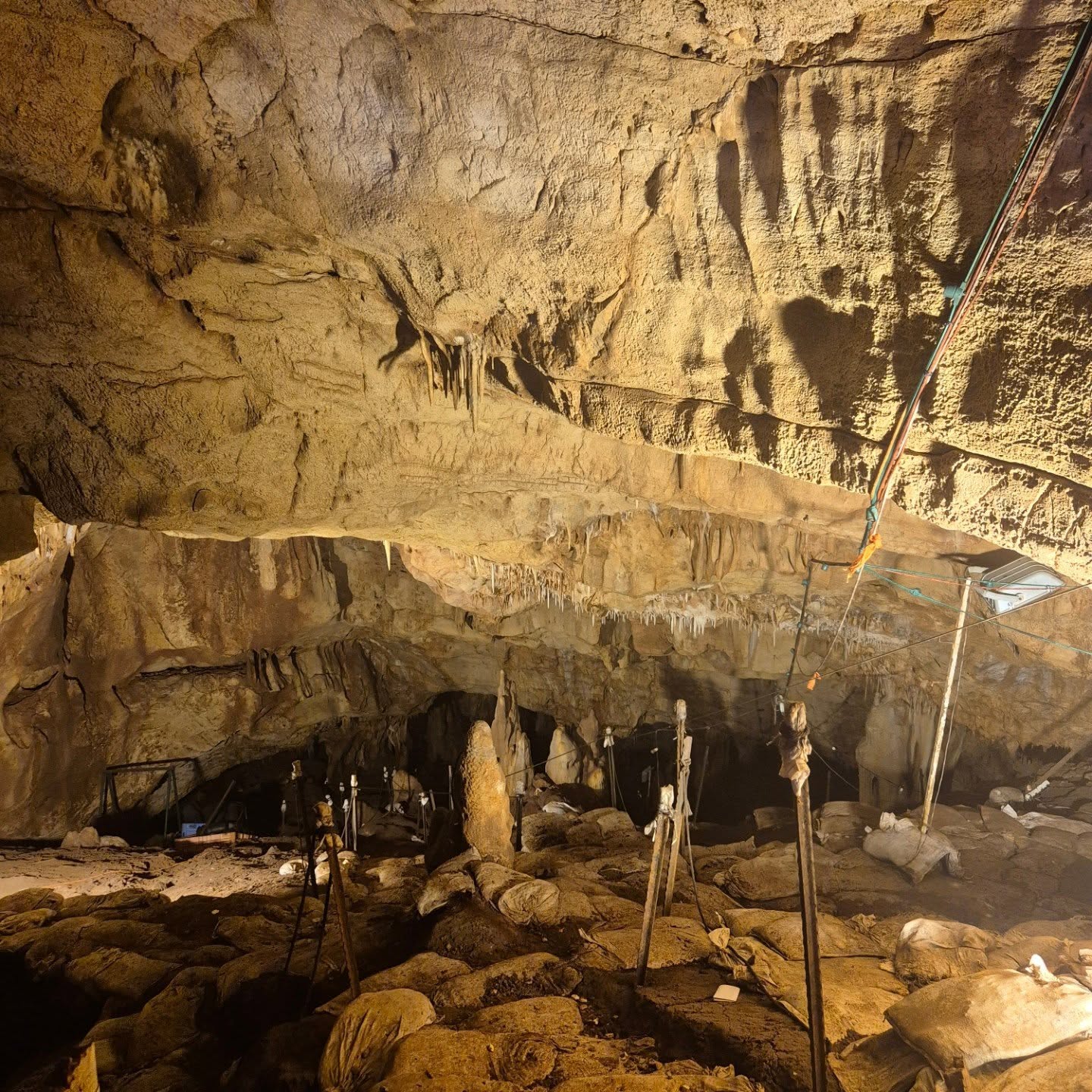We took a day break from excavating at Tinshemet Cave to visit the amazing Manot Cave!
.
.
.
.
#aurignacian #upperpaleolithic
#homosapiens #stalagmites