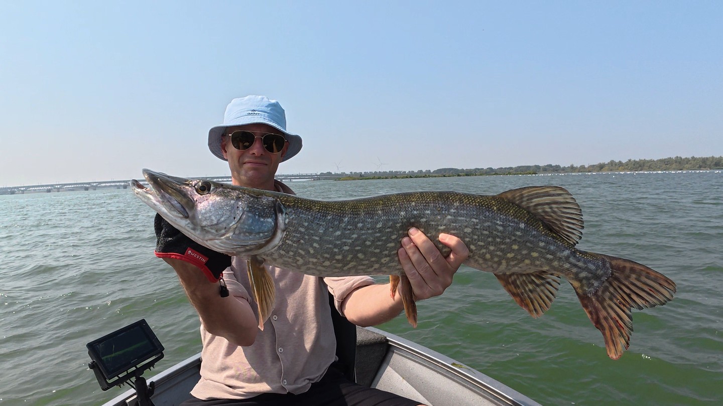 HD pike for my guest Jouke - great catch on the Spro Iris Thrillseeker
#lurefishingguide #batterylabs #yamahaprofishing #proventocatch
