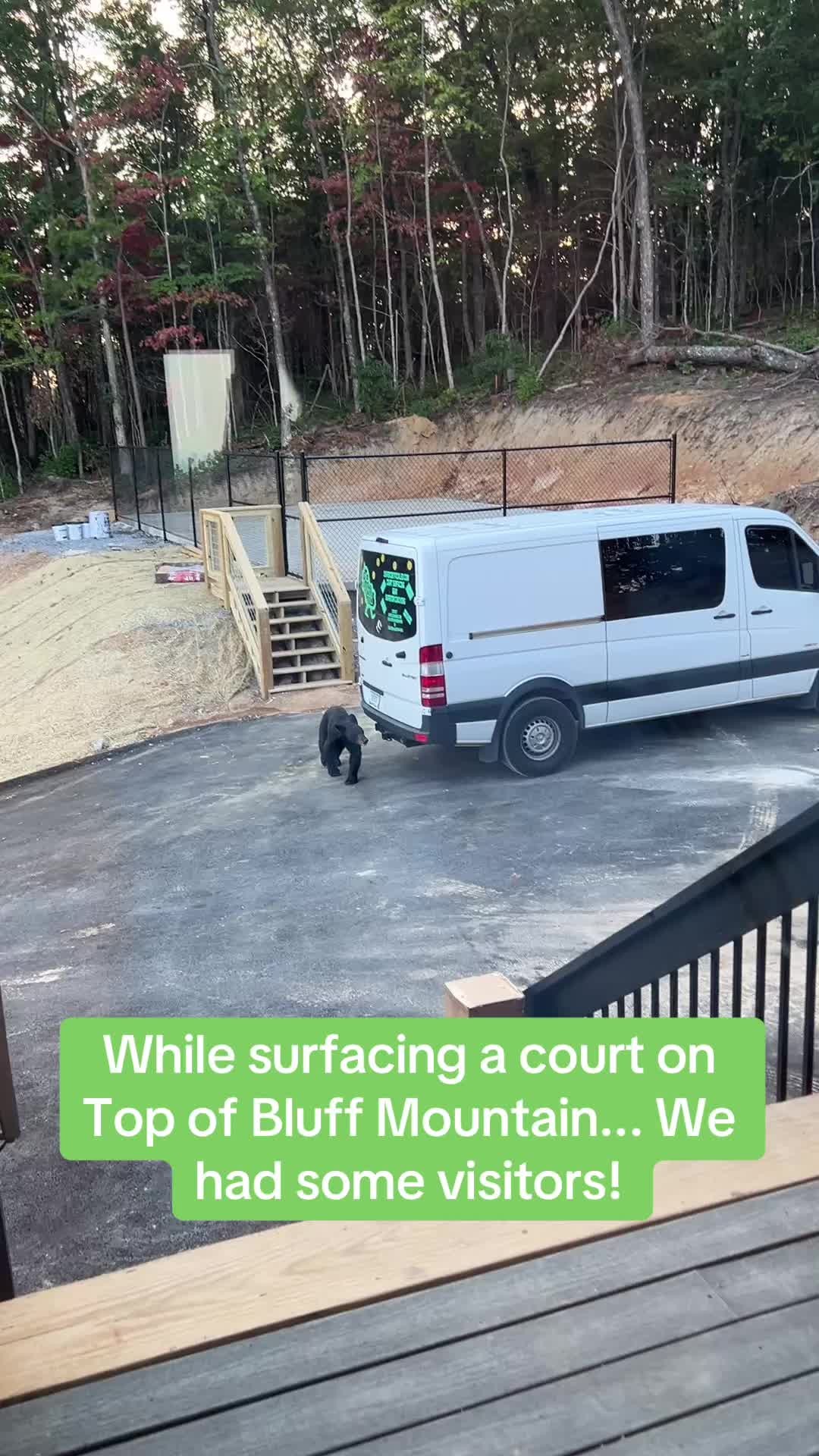 #fyp #artist #banckyardpickleballcourt #pickleball