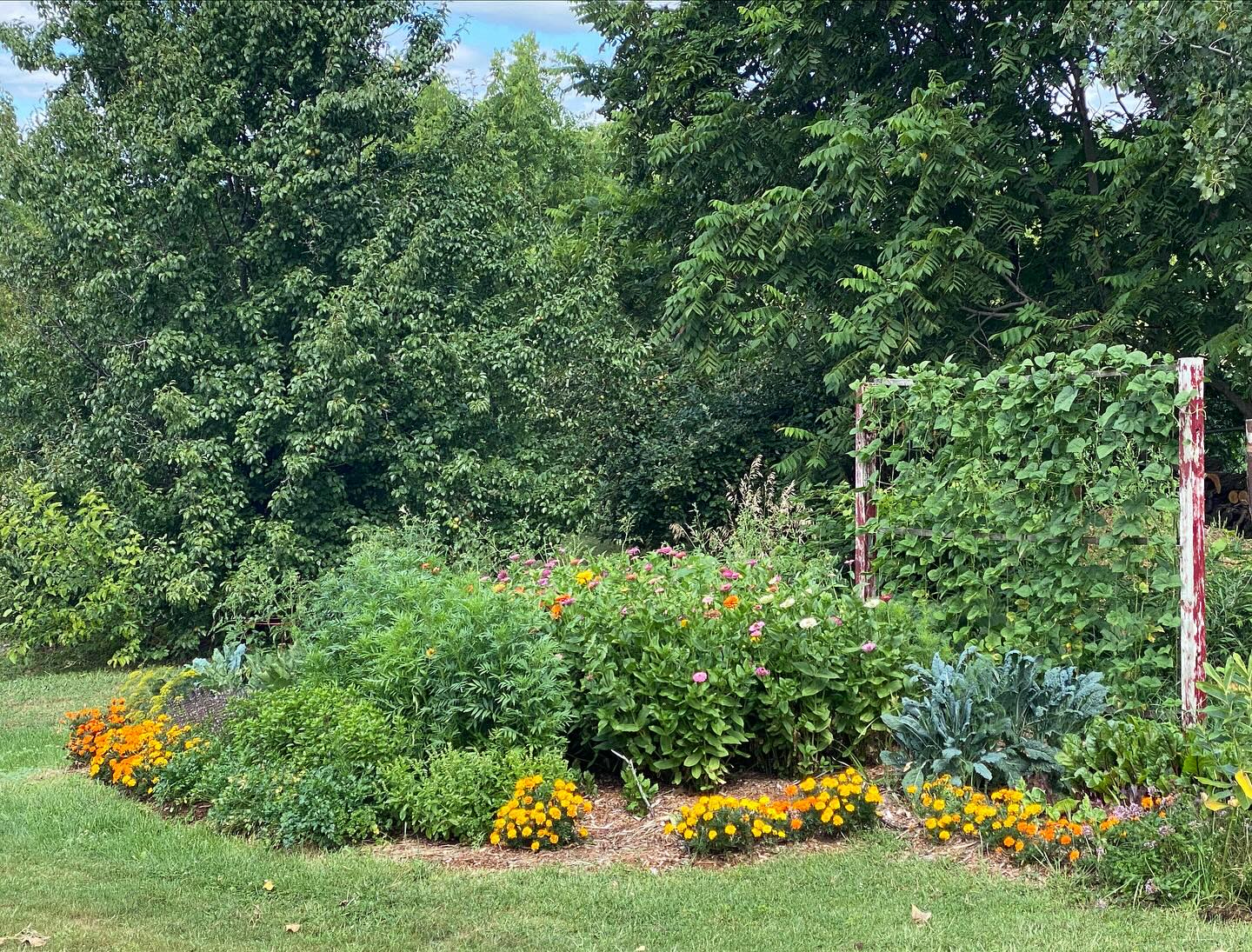 Make sure you visit the garden when you come to our Ultimate Quilt Clothesline Show & Sale. As you see the Zinnias are a magnet for pollinators. #RedRedBobbin #quilt shop #shop local #Brantford #quilt show #quilts for sale