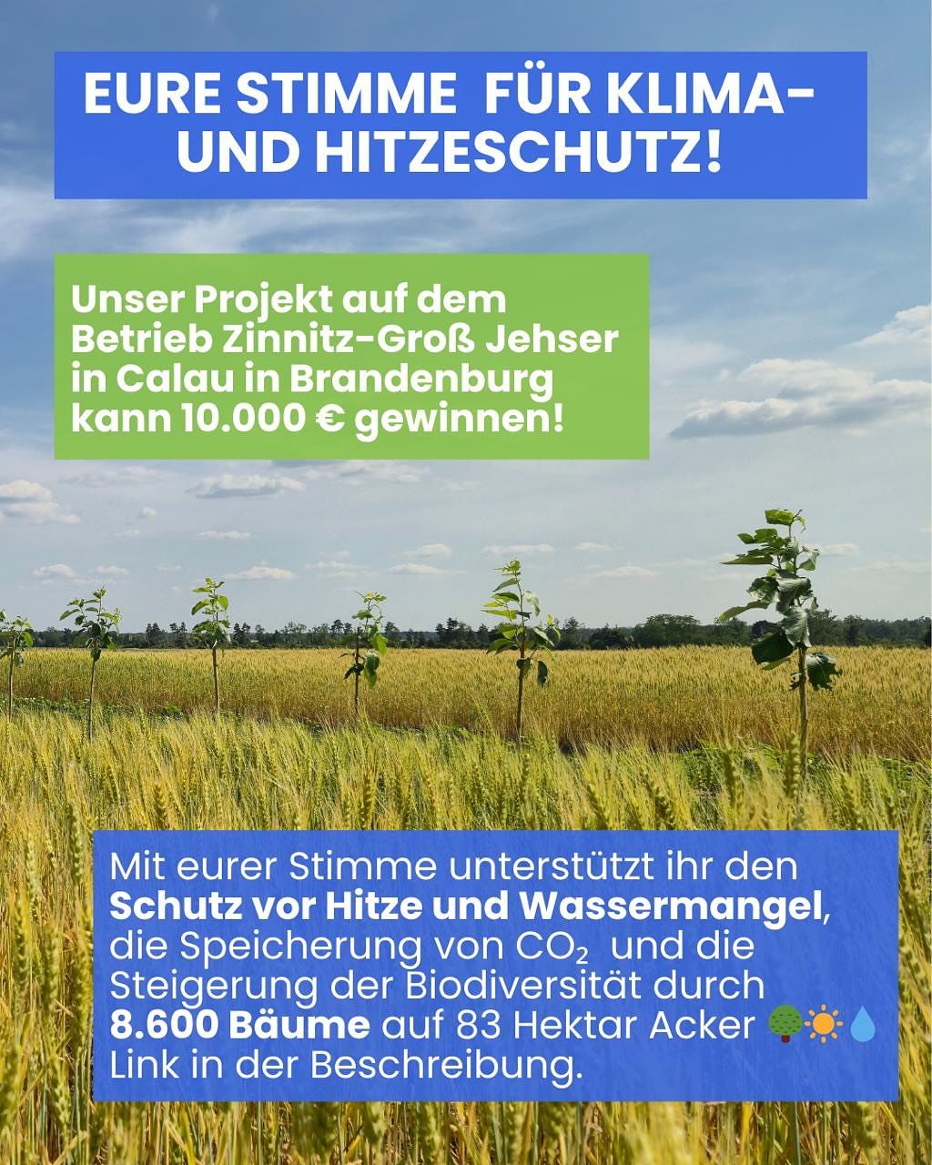 🥵☝️Nur ein Klick für Klima- und Hitzeschutz! Jetzt abstimmen und unser Agroforst-Projekt in Brandenburg unterstützen – die E.ON Stiftung spendet 10.000 Euro an das Gewinnerprojekt des Public Voting: https://www.eon-stiftung.com/de/handeln/european-climate-fund/voting-2025.html
✅Stimmt für unser Projekt gemeinsam mit dem Betrieb Zinnitz - Groß Jehser von Robert Häußler in Calau. Dieses Agroforstsystem mit 8.600 Bäumen auf 83ha Ackerland ist ein wichtiger Beitrag für CO2-Bindung und den Schutz vor Hitze und Wassermangel in Brandenburg! 🌳☀️💧
#agroforst #agroforstsysteme #co2 #klimaschutz #umweltschutz #biodiversität #klimawandel #naturschutz #vivocarbon #regenerativelandwirtschaft #agroforestry #agroforestrysystems #biodiversity #carbonremoval #Klimakrise #agrarwende