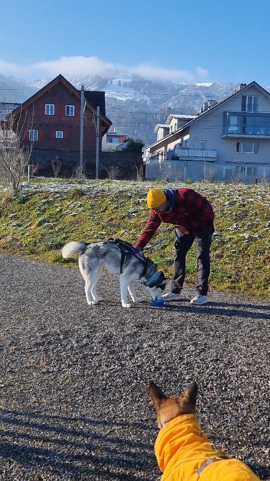 Letzter Lauf der fünften Session im Februar 2025 🥳🆙️