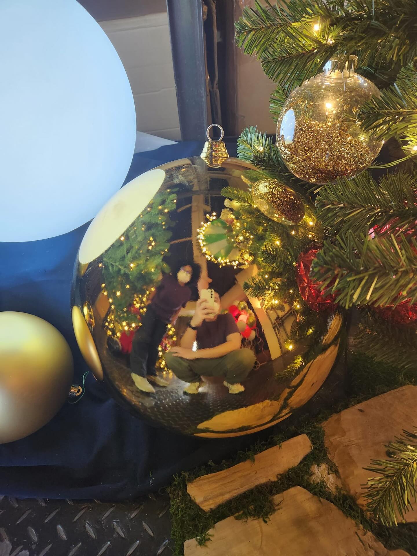 A Classic Christmas Ball Close Up✨✨🎄
https://www.festive-commercial.biz/
#FestiveDecorCommercialDisplayLimited #ChristmasTree #ChristmasDecor #18mChristmasTreeHongKong #Westkowloon #commercialdecor #commercialinstall #RGBLights #FestiveLighting #LEDpinlights #rentatree #rental #Garland #Wreath #ChristmasBow #ChristmasGiftBox #floraldisplay #floraldecor #weddingdisplay #weddingdecor #FreshTree #RealTree #LobbyDecor #聖誕蝴蝶結 #聖誕樹 #聖誕加蘭圈 #聖誕加蘭藤 #花圈 #婚禮裝飾 #西九文化區