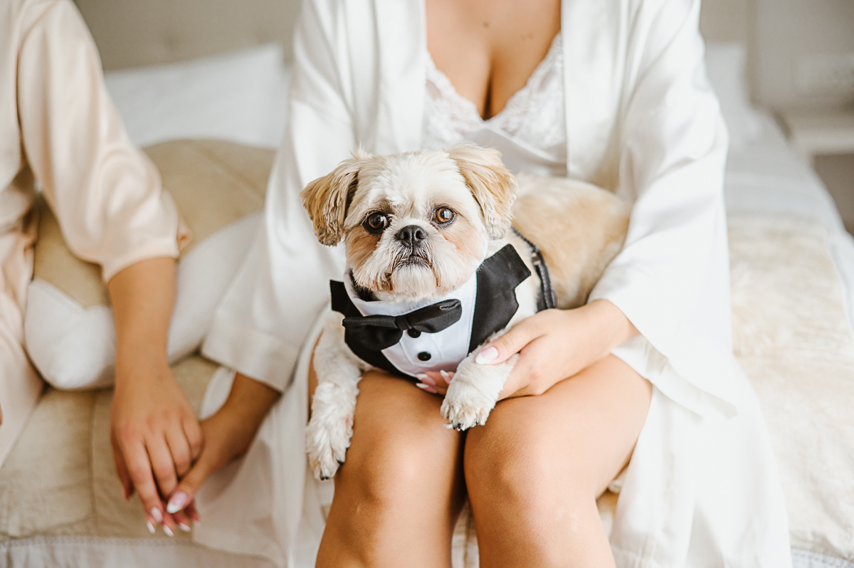 Stil i elegancija na četiri šape. Gentleman approved 🎩
.
.
.
#weddingmoments
#weddingphotography
#vjencanje
#weddingdetails