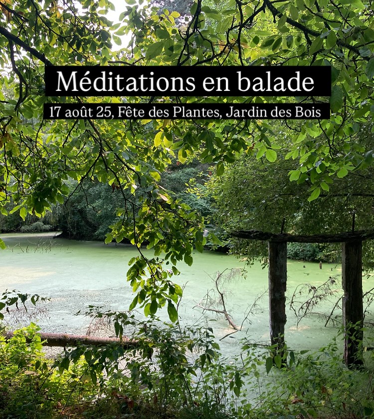 Demain, je vous propose 2 méditations en balade dans un magnifique jardin privé @stmeloirdesbois , dans le cadre de la Fête des Plantes, « Le Jardin des Bois » a 10h30 et 16h (15-30 min). Marcher en conscience, marches avec les sens, le pas à pas, contemplation de la beauté des plantes et de la nature.
Les méditations en balade sont ouverts à toutes et tous, et c’est gratuit! RDV à l’entée du jardin juste à côté de l’église. (voir le carte, image no. 3)