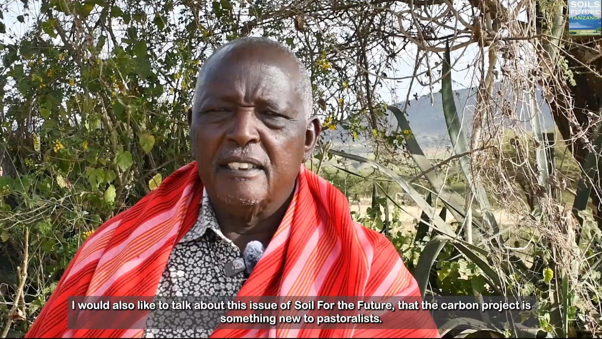 Soils for the Future Tanzania’s carbon projects in Tanzania enhance grazing and fire management practices to increase soil carbon storage. These carbon projects directly benefit local communities – by restoring soil health, securing rangelands for pastoralism, building resilience to climate change, while also providing financial incentives to continue practicing sound land management principles. We are strengthening the future of pastoralism by increasing the value of the land to people. Our goal is to ensure that pastoralism remains a viable, sustainable way of life for generations to come.
Another added benefit, as described by Lekule, is the reduction and removal of invasive species that have spread to rangelands and impacted grasses that feed livestock. This has improved the overall health of rangelands.