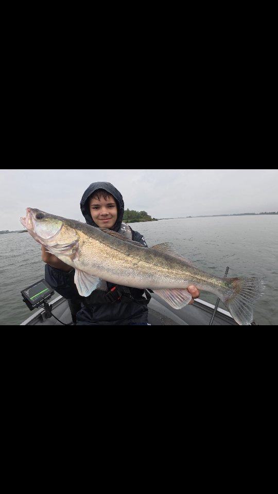 After sunshine comes rain, and zander 💥
#yamahaprofishing #batterylabs #ufxfishing #stcroixrods #spro #proventocatch #hollandsdiep #lurefishingguide