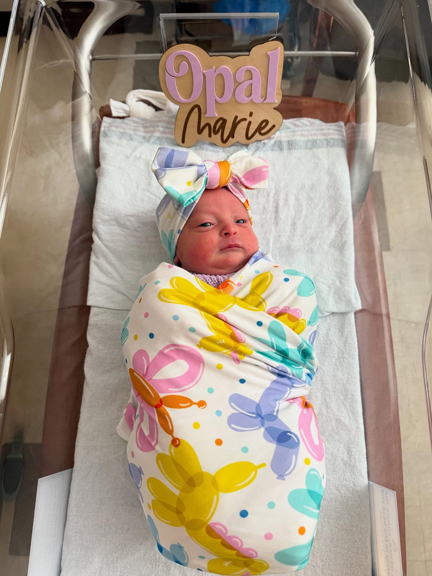 ✨ Exciting news! Our newest little party animal has arrived! 🎀
I’ll be taking a short break from full event installs to soak up this precious time, but I’m still responding to messages and happy to create grab-n-go garlands for your celebrations.
If you already have a booking with me, don’t worry — I’ll still be there to bring the balloons and make your event shine! 🎈