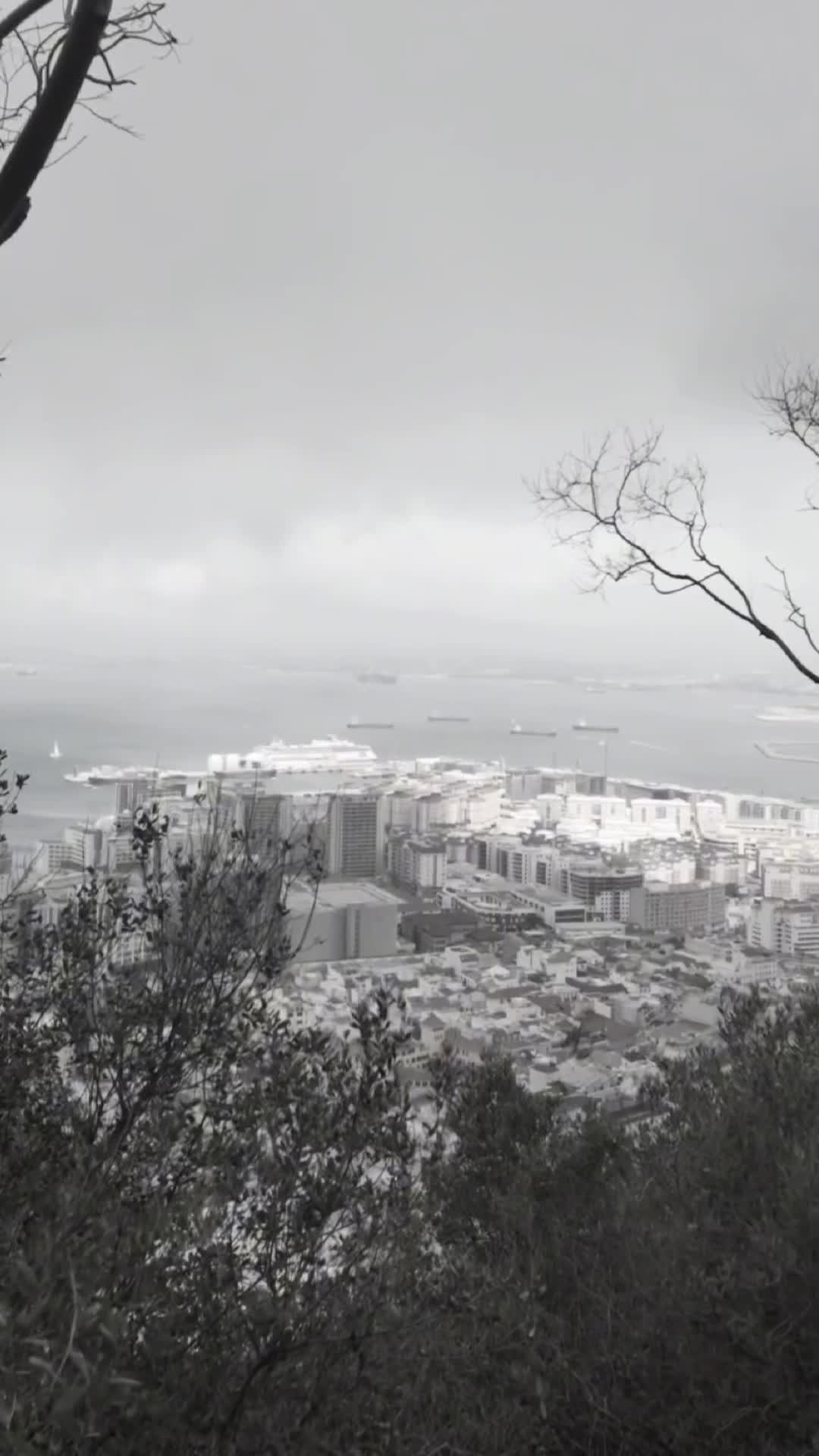 Curated, branded, and built to connect 🎯
From concept to final cut we create Reels that feel like you and speak to your audience.
Let’s make content that actually works for your business.
#SketchMarketing #ContentCreation #ReelsForBusiness #BrandedContent #GibraltarMarketing #SocialMediaSupport #MadeForYou