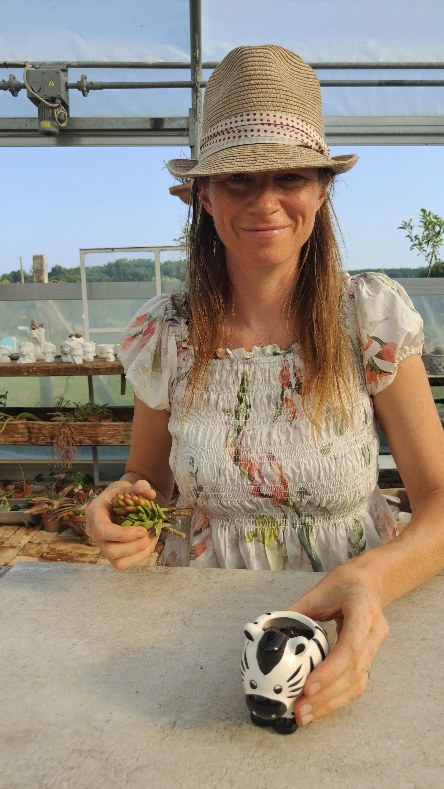 ✨ Aus einem Topf wird ein kleines Sukkulenten-Paradies 🌱💚
👉 Folge mir für mehr DIY-Ideen & Pflanzeninspiration!
#sukkulentenliebe #pflanzenfreude #diydeko #urbanjungle #grünerleben