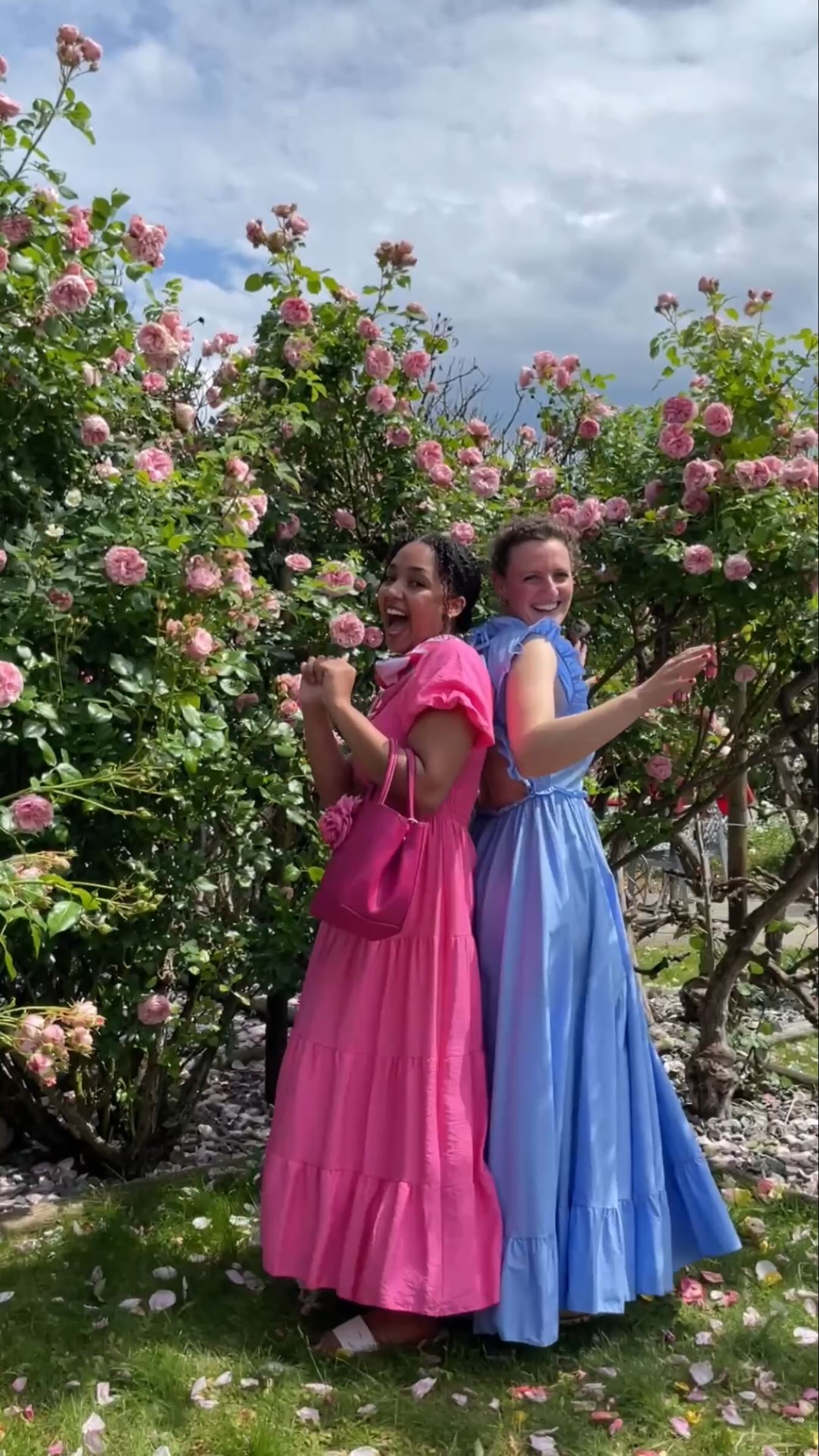 Sommer Kollektion -50%!💃
Ab sofort gibt es auf alle Sommerkleider 50% Rabatt. Wir räumen alles leer bevor in zwei Wochen die neue Herbst Kollektion kommt.
Shoppen bei Wassmers und noch schöne Rosen mit nach Hause nehmen.
Täglich neue Angebote:
Aktuell:
1 Eimer ab für 15€ und
2 Eimer ab 20€ zusammen
Nur so lange der Vorrat reicht.
Euer Markthalle Wassmer Team