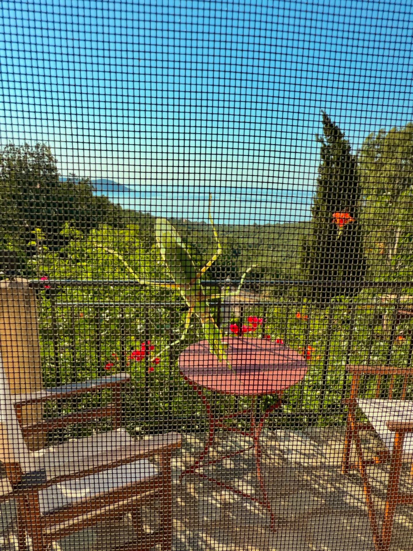 POV : les vacances à travers la combinaison d’un apiculteur 🐝☀️
#lemielremyglaise #apiculture #apiculteur #miel #abeilles #bees #beekeeping #pollinisateurs #biodiversite #miellocal #artisanat #circuitscourts #lyon #grandlyon #auvergnerhonealpes #peloponnese #manipeninsula #laconia #greece #greeksummer #mediterranean #slowtravel #seaview
@visitgreecegr