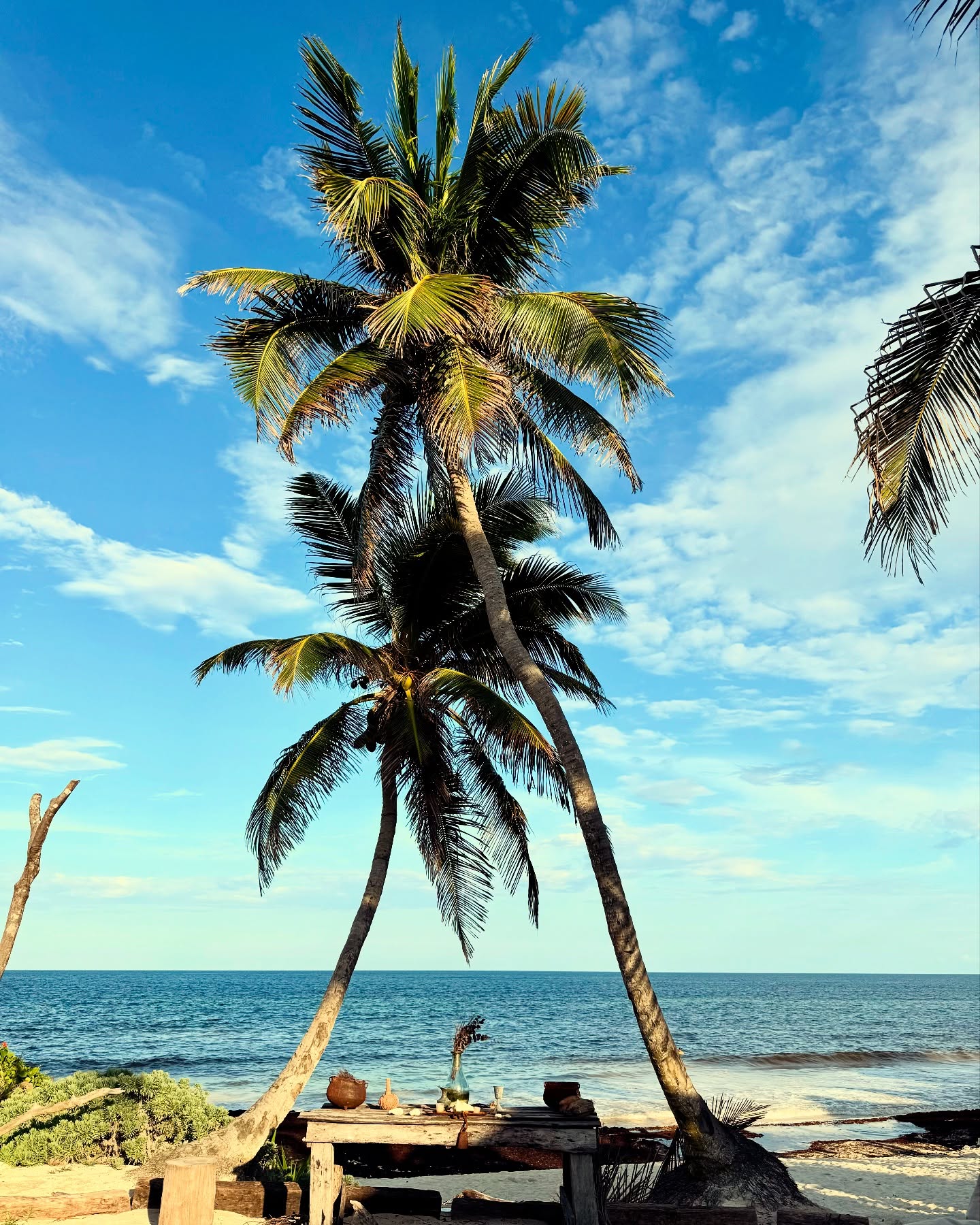 “For whatever we lose - like a you or a me - It’s always our self we find in the sea.” - E.E. Cummings
#sea #beach #tulum #tuluminati #méxico #joselito