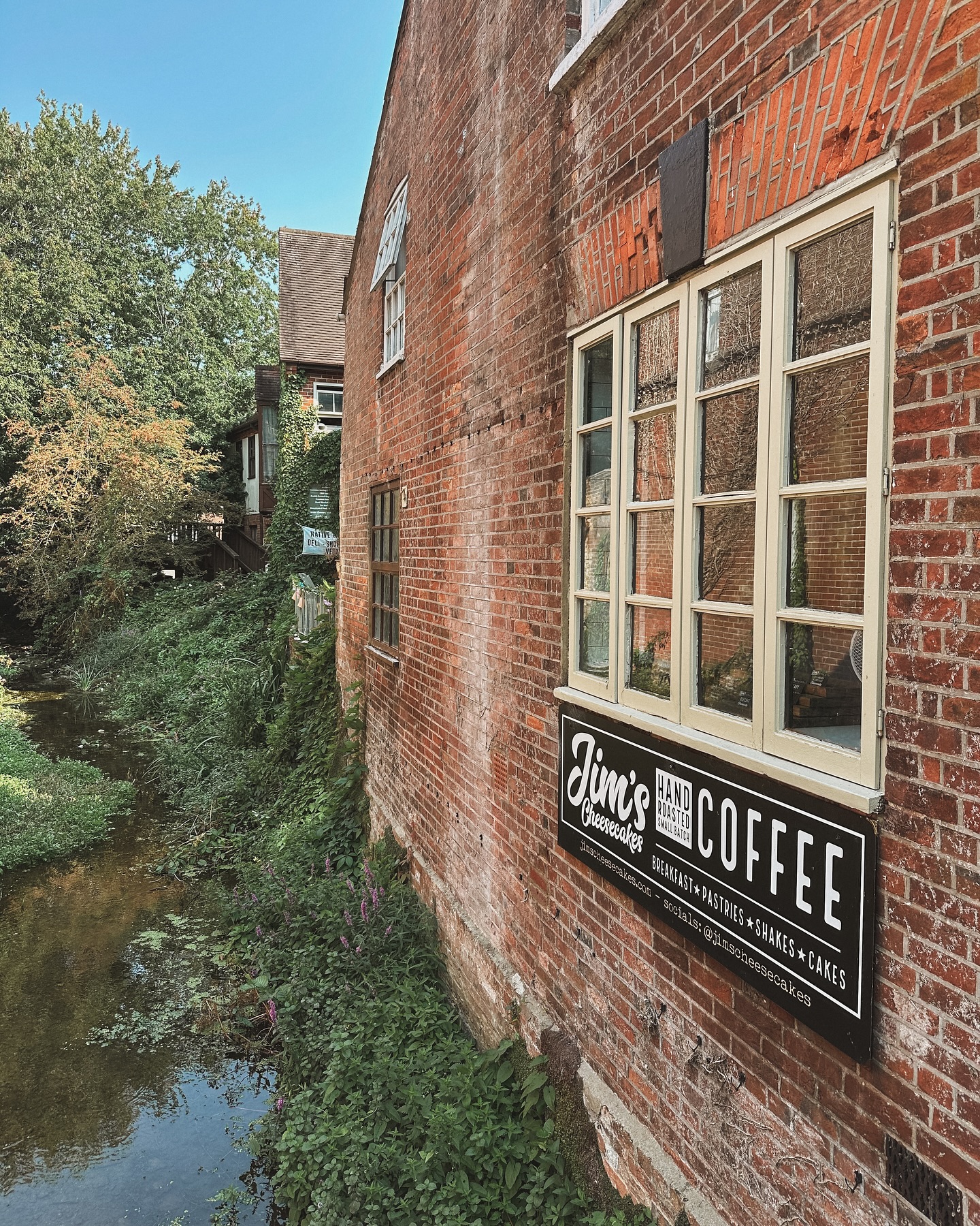 The Soft Archive | edition six
A sleepy pillow hog curled upon the bed. While a tiny tiger hid from the harsh rays, tucked beneath the sagging peony tree
A balmy summer night was spent searching the sky. I saw one meteor, a single streak of light written across the dark. On another, tawny owls sang from the moonlit garden unseen.
Friday belonged to food and slow wandering through the streets of Petworth.
The weekend held cathedrals and churches, stone arches and carved saints, oddities tucked between history, and more good food in Salisbury and Wimborne Minster.
Not all of it was caught by camera, but each moment lives quietly in the creases of my mind.