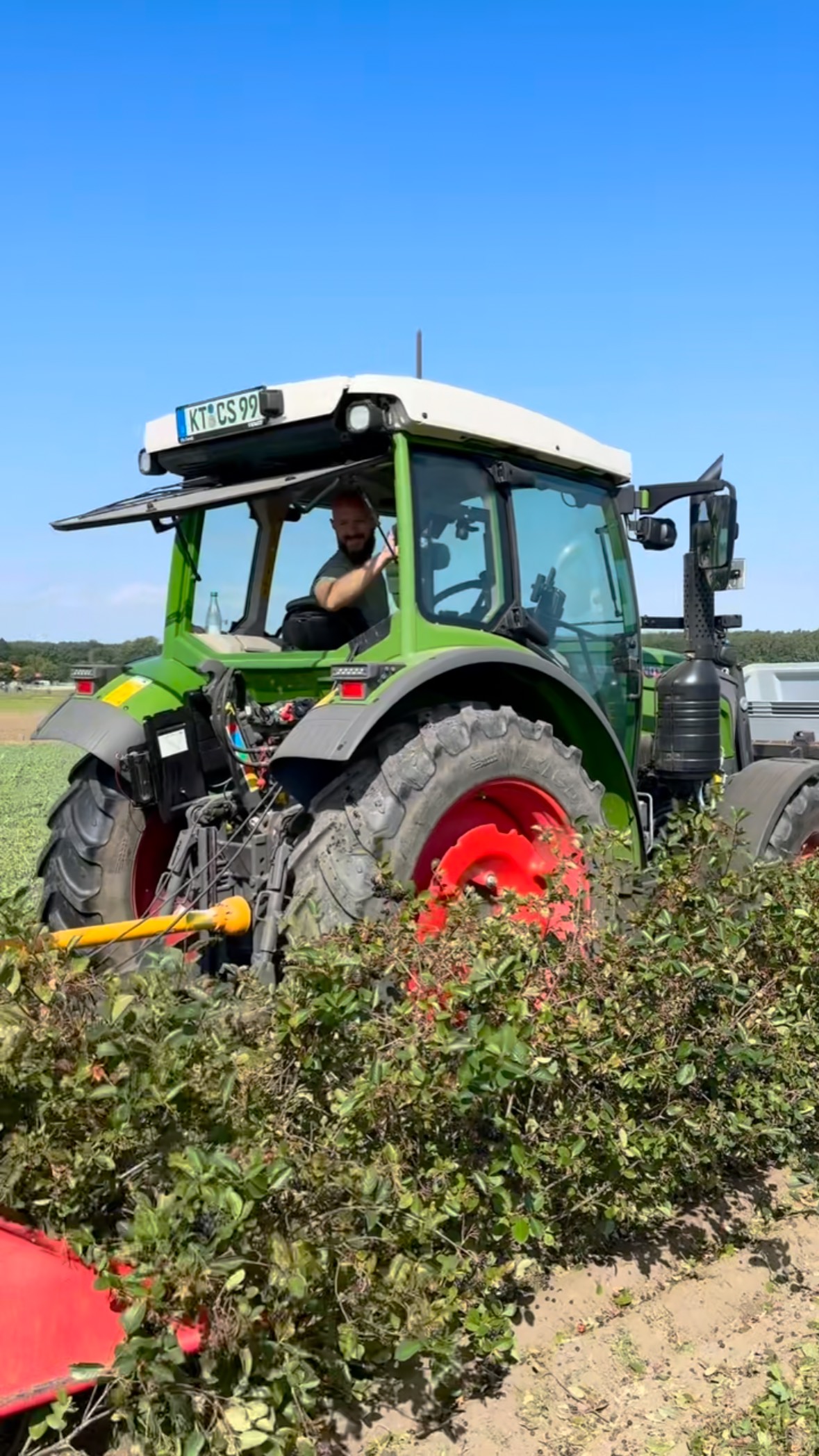 Aronia-Ernte 2025💫
Die leuchtenden Power-Beeren direkt vom Busch!
Christoph und sein Team ernten die dicht besetzten Dolden mit reifen, glänzenden Beeren, die in der Sonne fast wie kleine Perlen wirken, so früh wie möglich am Tag, um die Qualität der Beeren zu sichern.
#aronia #aroniabeeren #ernte #erntezeitistdieschönstezeit #bioaronia #powerbeere #gesundessen #farmtotable #ernteliebe💜
