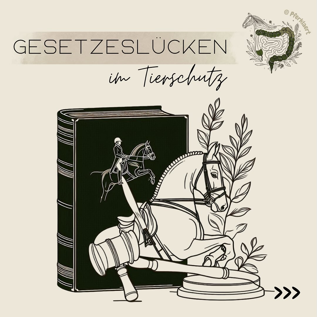 Angestoßen durch die neue Doku des Kanals exactly des MDR „Gewalt an Pferden – wer steckt hinter den verstörenden Tierquälerei-Videos?“ auf YouTube habe ich mich erneut intensiv mit dem Thema auseinandergesetzt. Besonders erschreckend: Viele grausame Tiergewalt-Inhalte im Netz, ihr Besitz und ihre Verbreitung sind in Deutschland noch immer nicht verboten.
Warum grausame Tier-Gewalttaten online oft legal sind und was sich dringend ändern muss, darum geht es in diesem Beitrag.
Ein Blick ins Gesetz zeigt eine Lücke:
➡️ Im Bürgerlichen Gesetzbuch (BGB § 90a) heißt es: Tiere sind keine Sachen, sie genießen besonderen Schutz. Doch viele Vorschriften behandeln Tiere noch wie Sachen.
➡️Im Grundgesetz (GG Art. 20a) verpflichtet sich der Staat „für die künftigen Generationen die natürlichen Lebensgrundlagen und die Tiere“ zu schützen.
➡️ Das Tierschutzgesetz (TSchG) verbietet Schmerzen und Leiden ohne vernünftigen Grund (§1) sowie die Nutzung von Tieren für Filme, Werbung oder Shows, wenn diese Leid verursachen (§3).
Wer einem Wirbeltier aus Rohheit erhebliche Schmerzen zufügt oder es tötet, kann mit Freiheits- oder Geldstrafe bestraft werden (§17). Möglich sind auch Tierhalteverbote (§20, §20a) und die Einziehung misshandelter Tiere (§19). Darüber hinaus gelten zahlreiche Verstöße als Ordnungswidrigkeiten – etwa wenn einem Tier ohne vernünftigen Grund erhebliche Schmerzen, Leiden oder Schäden zugefügt werden (§18 Abs. 1 Nr. 1, Abs. 2), wenn Tiere entgegen den Vorschriften getötet, Eingriffe ohne Betäubung vorgenommen oder Tiere unzulässig an Kinder abgegeben werden. Diese Ordnungswidrigkeiten können mit Bußgeldern bis zu 25.000 Euro geahndet werden.
⬇️ in den Kommentaren geht es weiter⬇️