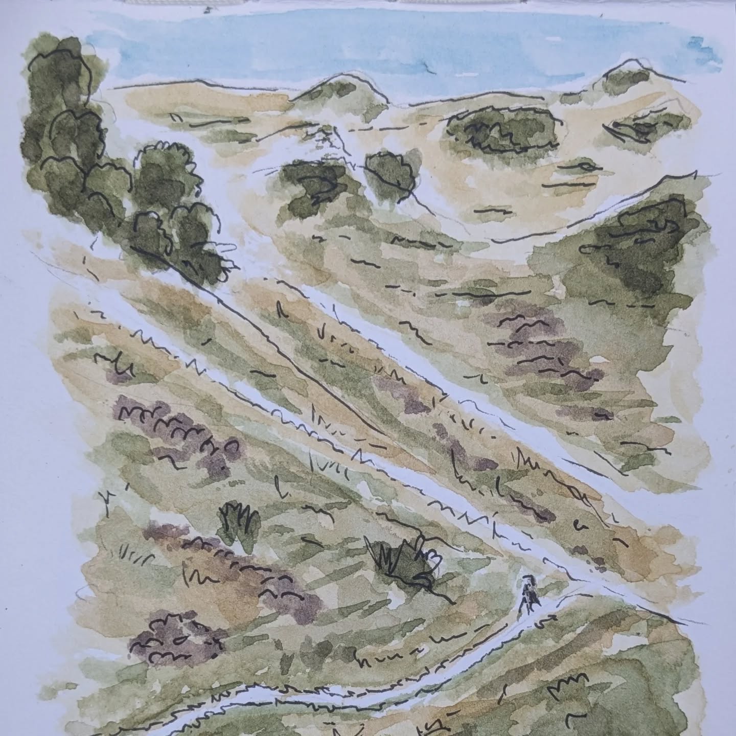 JV07 - Grand Tour Ariégeois
Pla de La Lau (maison du Valier) - Rivière d'Eylie
Grosse journée, avec 2* ascension de 800m !
La première avec le soleil levant, les pentes jaunies et leurs bruyères (photo) + qq cabanes au fil de la montée.
Fin de matinée on arrive au creux du vallon de l'Orle (qui ferait aussi un super spot de bivouac, mais on n'était qu'à 50% de l'étape).
La seconde montée était à moitié en slalom dans les arbres puis après 1500m, on a contourné la cabane de la bergère pour arriver au col d'Arech ! Trop chouette de voir sur l'autre versant, le col du clos du lac avec tout ce qu'on avait descendu le matin !
Dernier effort : descente de 800m bientôt dans les champs de myrtilles !
À l'arrivée, plouf et bivouac à la rivière, qui dit mieux ?!