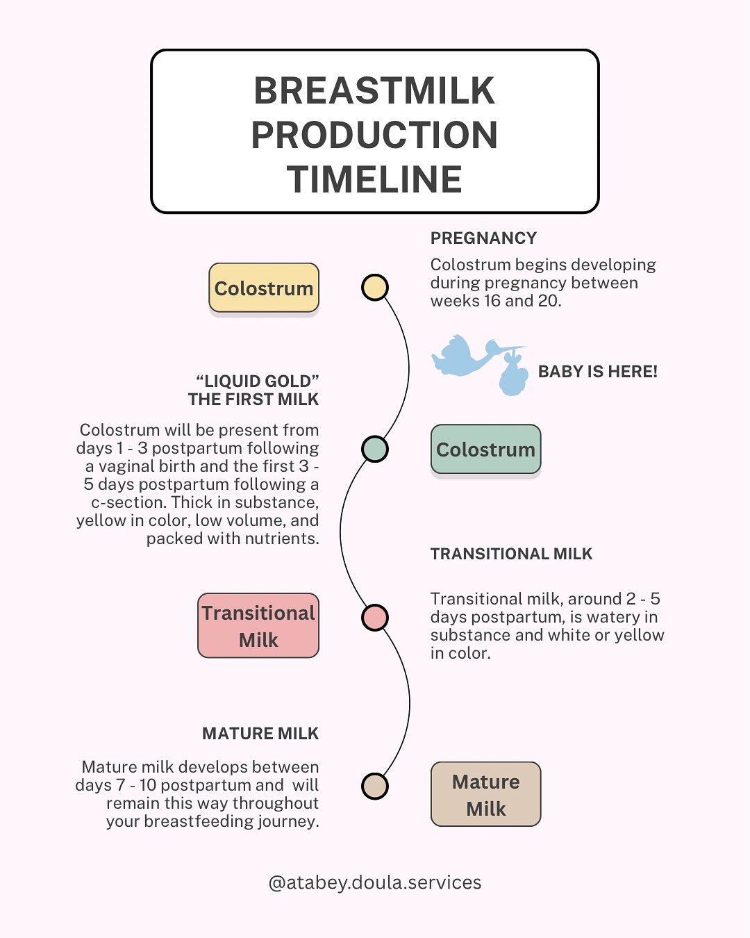 Your breast milk cannot “come in” if it is already there! Comparison is the theif of joy and in the breastfeeding world, it is all around us. It’s easy to be discouraged about your milk supply when you see so many over suppliers on Instagram.
Your body creates just enough milk as your baby is asking it to, most of the time. In the beginning milk production starts with nutrient dense colostrum providing just enough milk to fill your baby’s tiny belly. As your baby grows and experiences changes in development, your baby will signal your body to make more milk through hormones exchanged in the babies saliva and frequency of feedings.
If you ever have doubts about how your breastfeeding is going, doulas and lactation consultants are here to support you, always!
#lactation #breastfeeding #infantfeeding